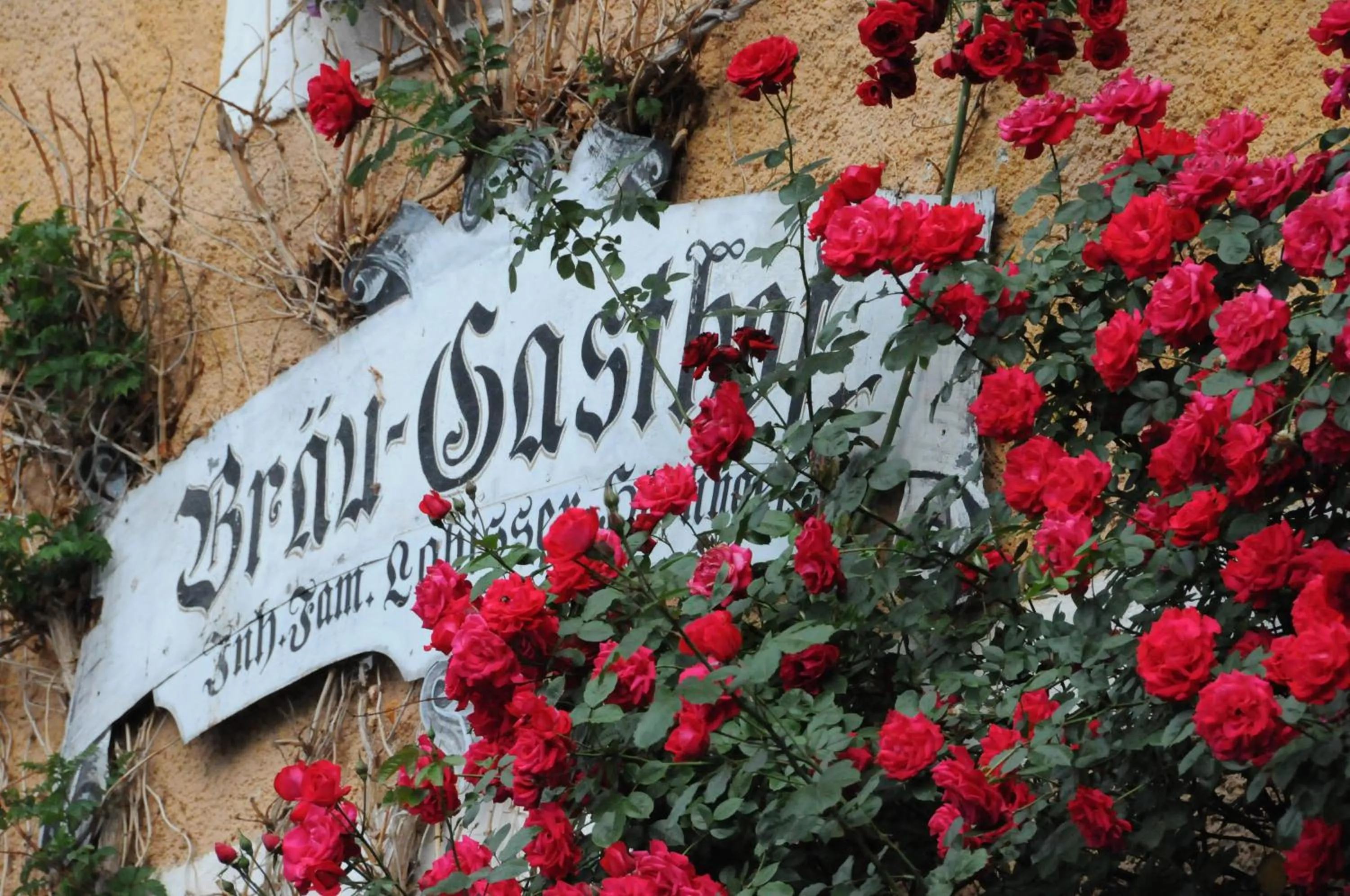 Property logo or sign in Bräugasthof Hallstatt