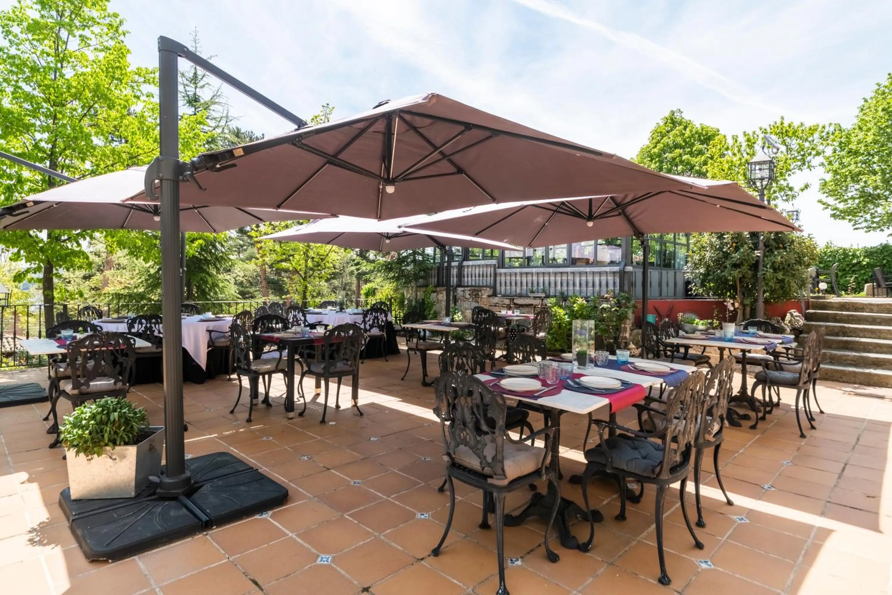 Restaurant/places to eat in El Torreon de Navacerrada