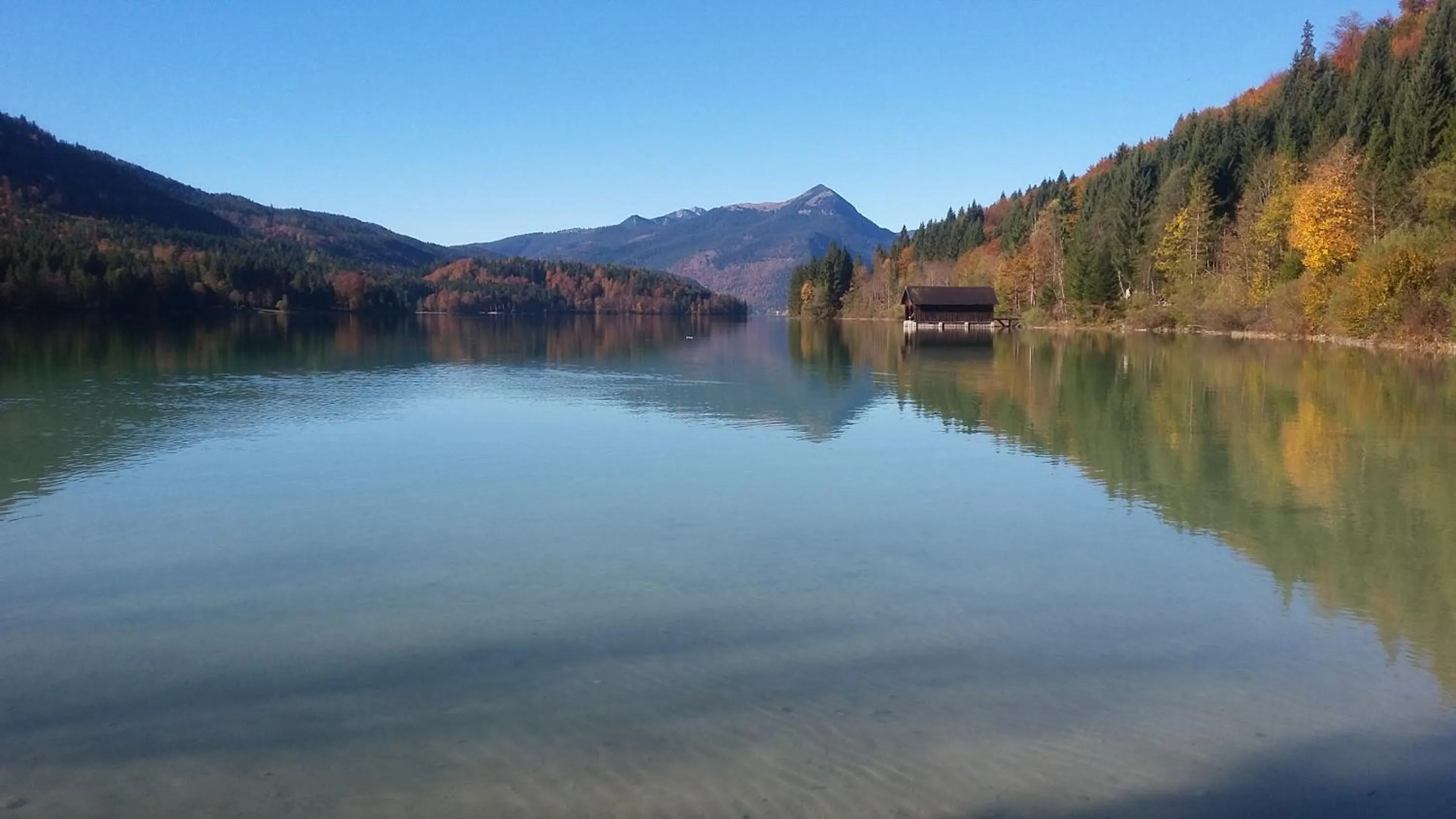 Natural landscape in Landhotel Lärchenhügel