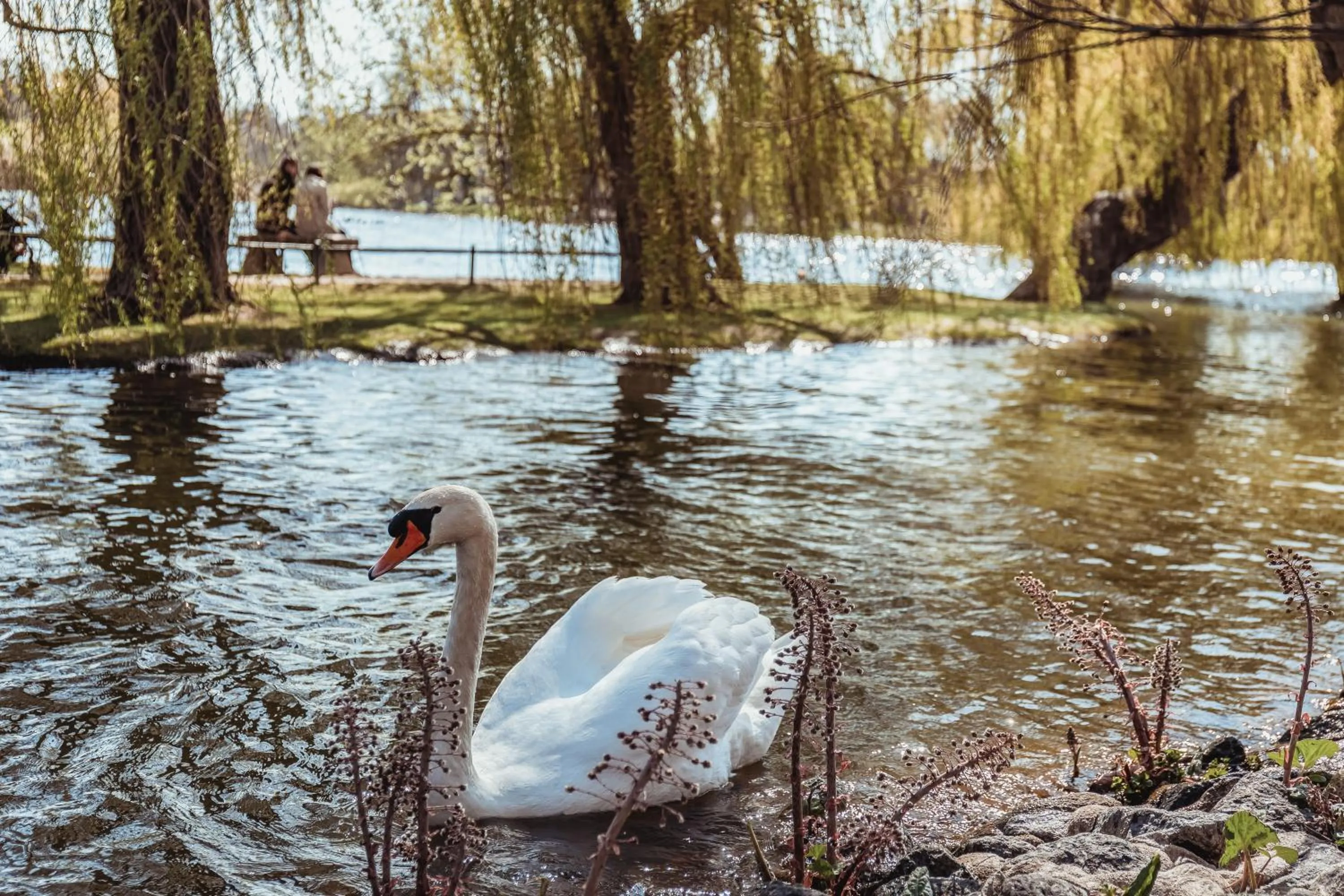 Area and facilities in Landhotel Lewitz Mühle