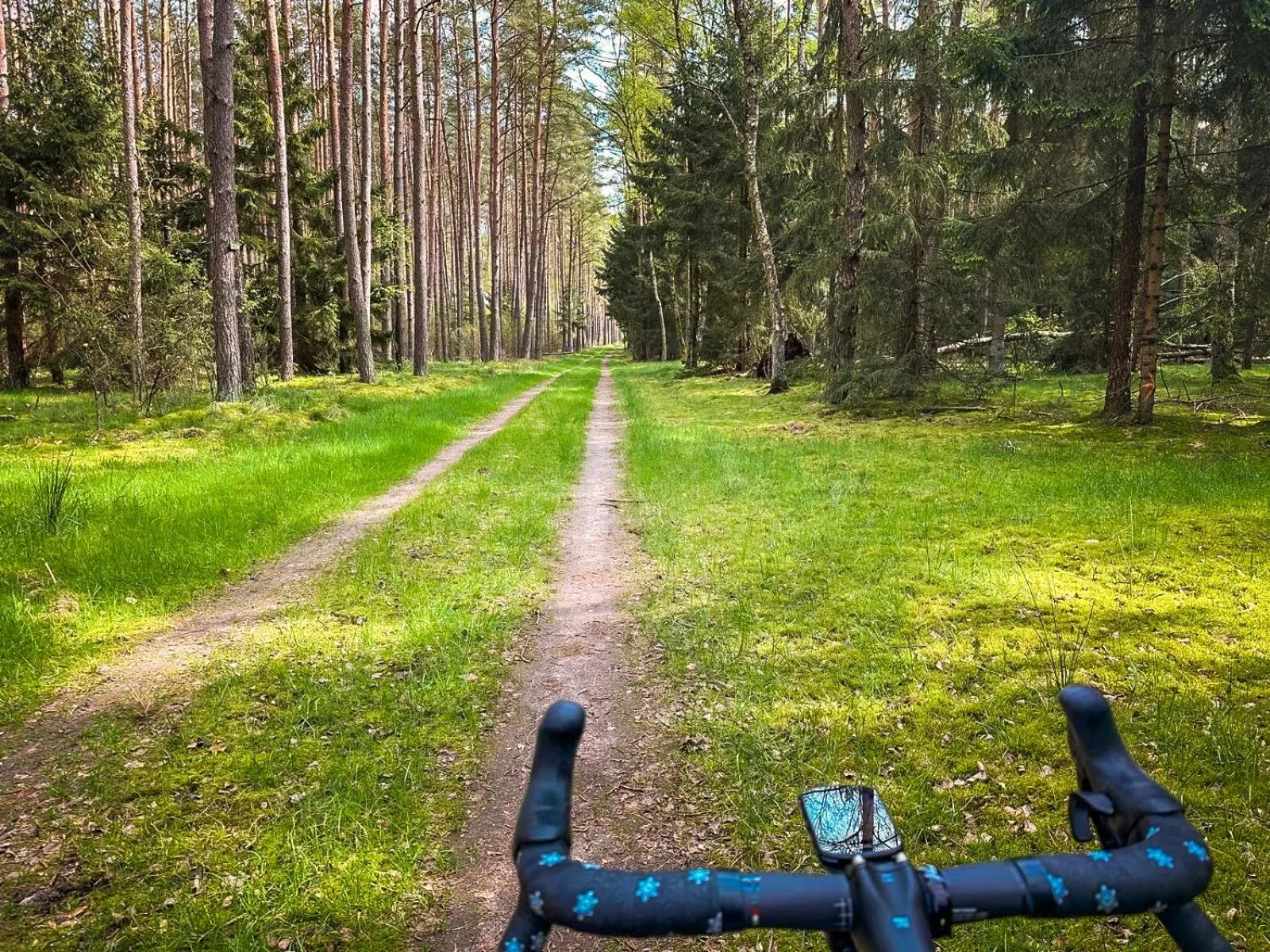 Cycling in Landhotel Lewitz Mühle