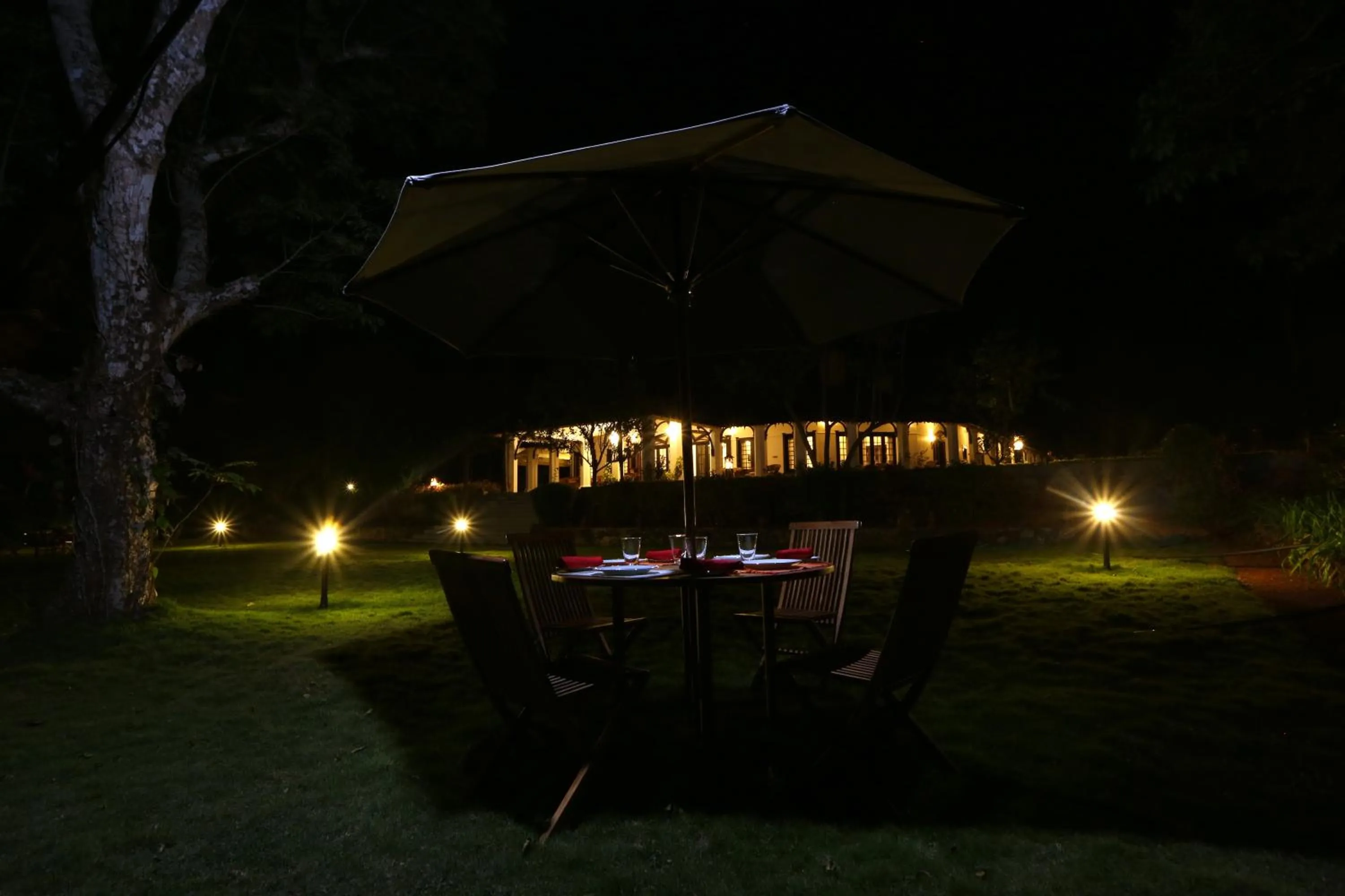 Garden in Parisons Plantation Experiences by Abad