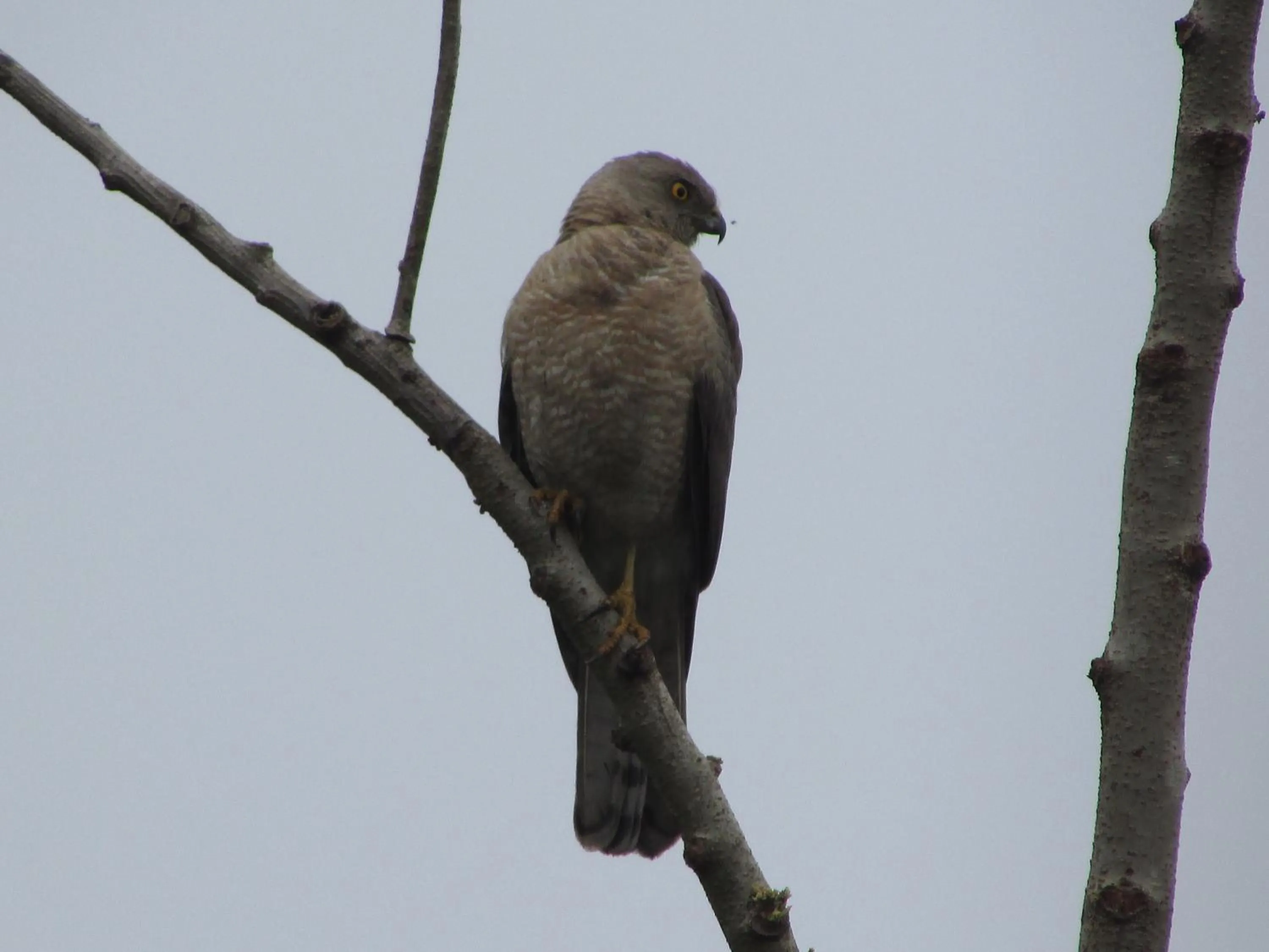 Activities in Parisons Plantation Experiences by Abad