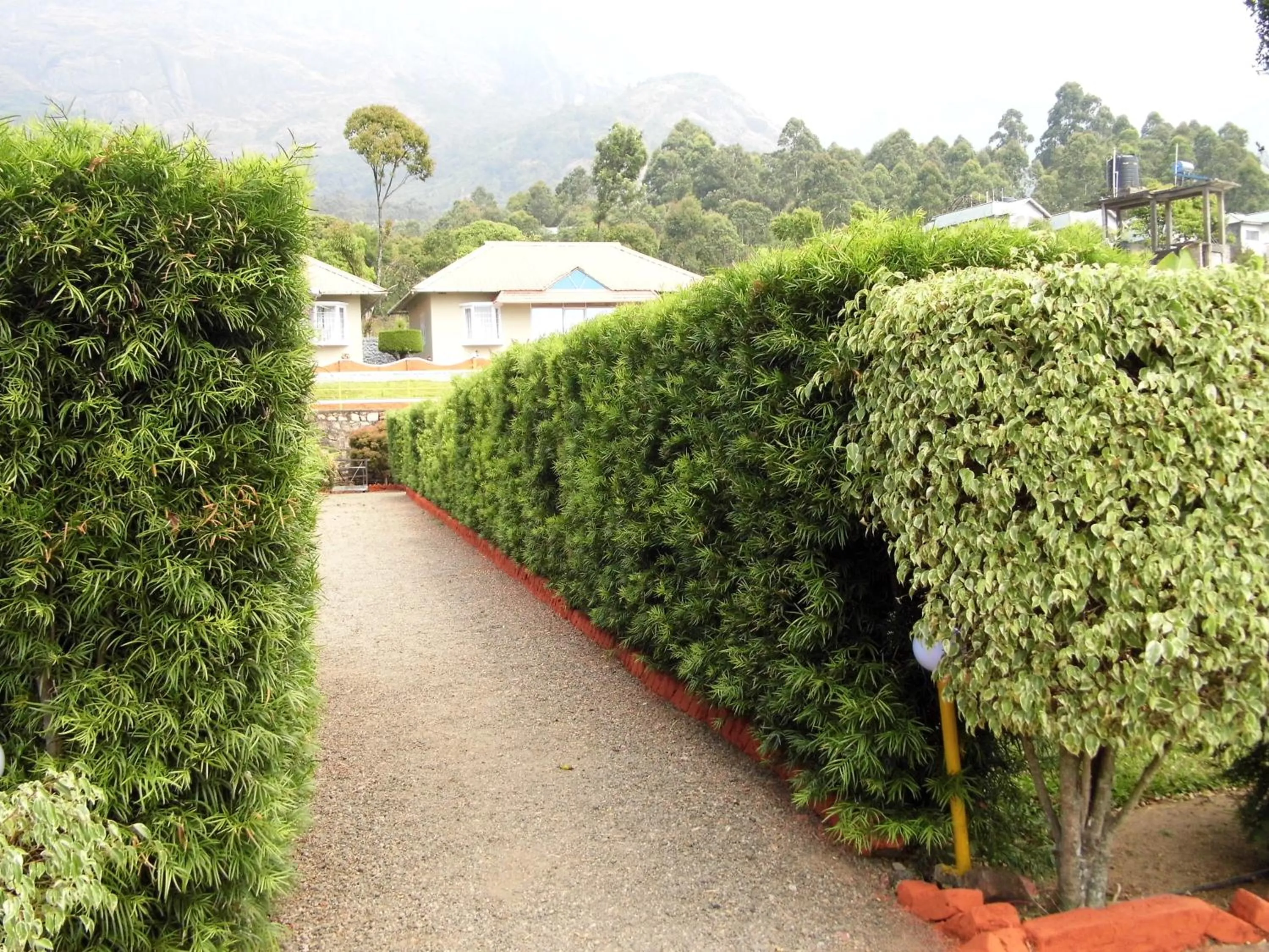 View (from property/room) in Holiday Heaven Munnar