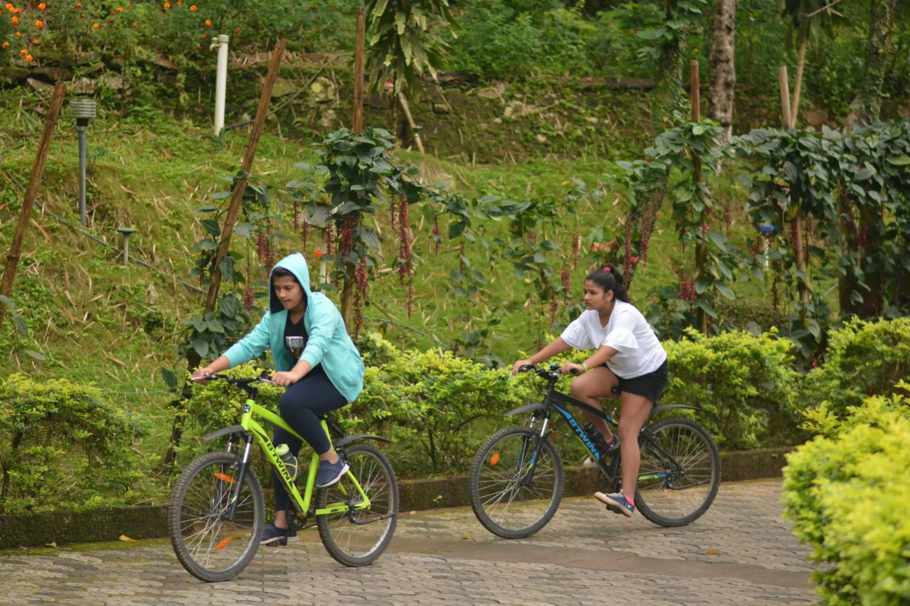 Cycling in Rivulet Resort