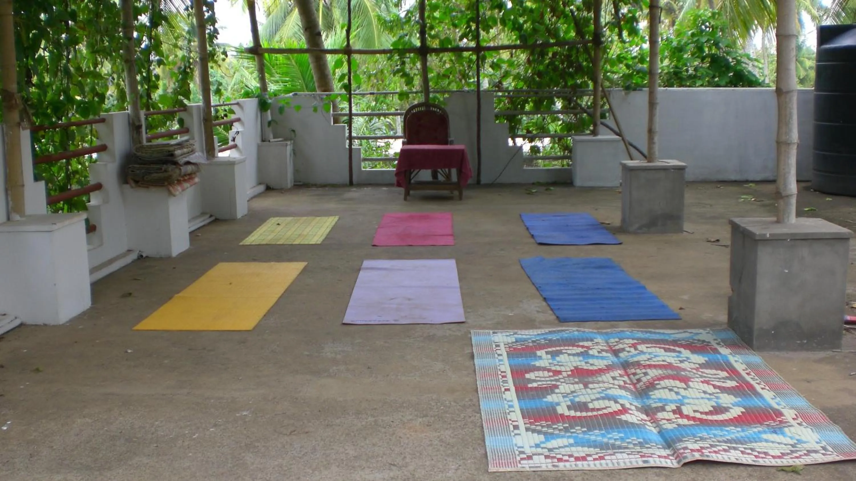 Other in Jickys Nest