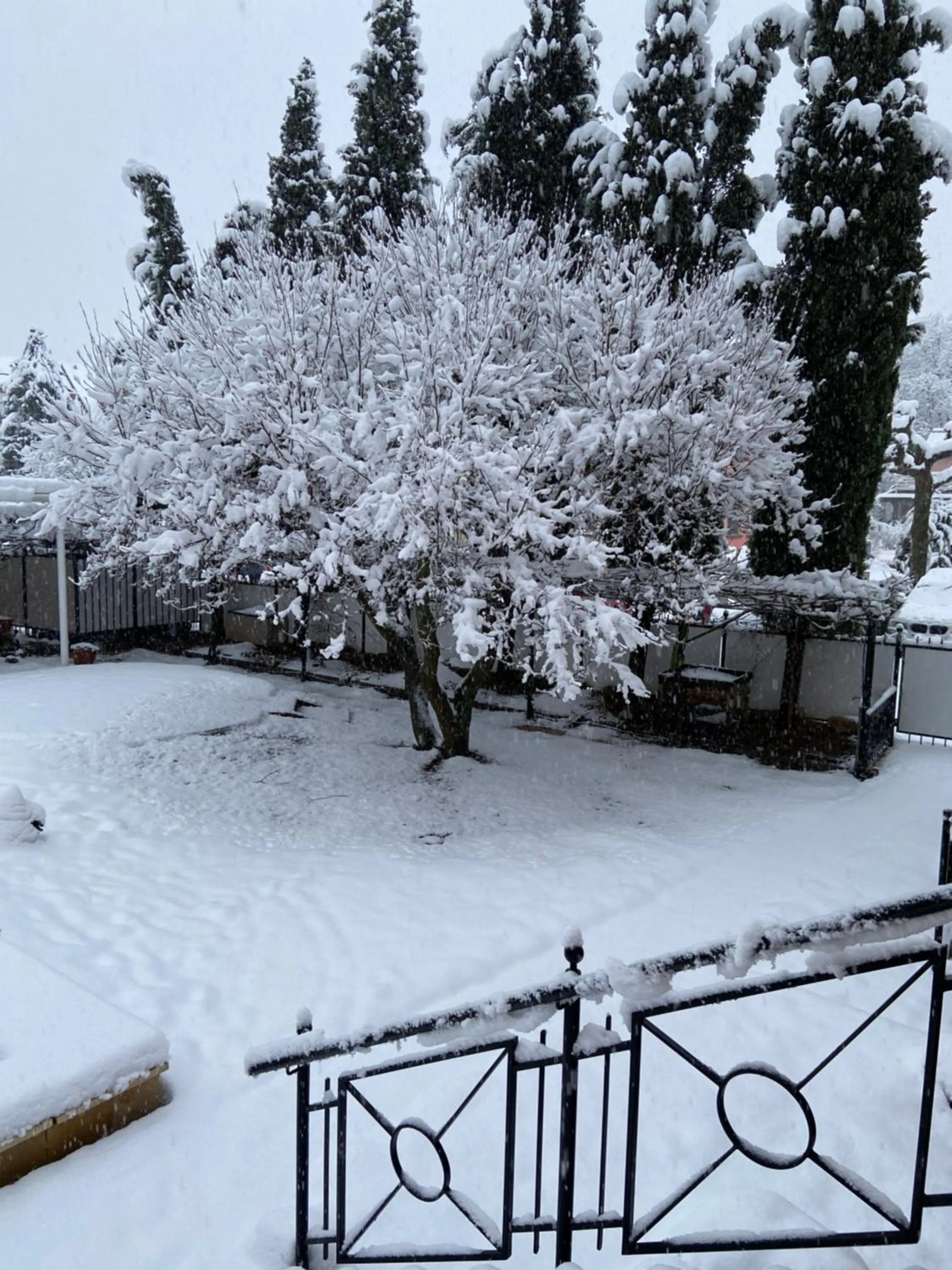 Patio in Hotel Hofmann Zur Mühle