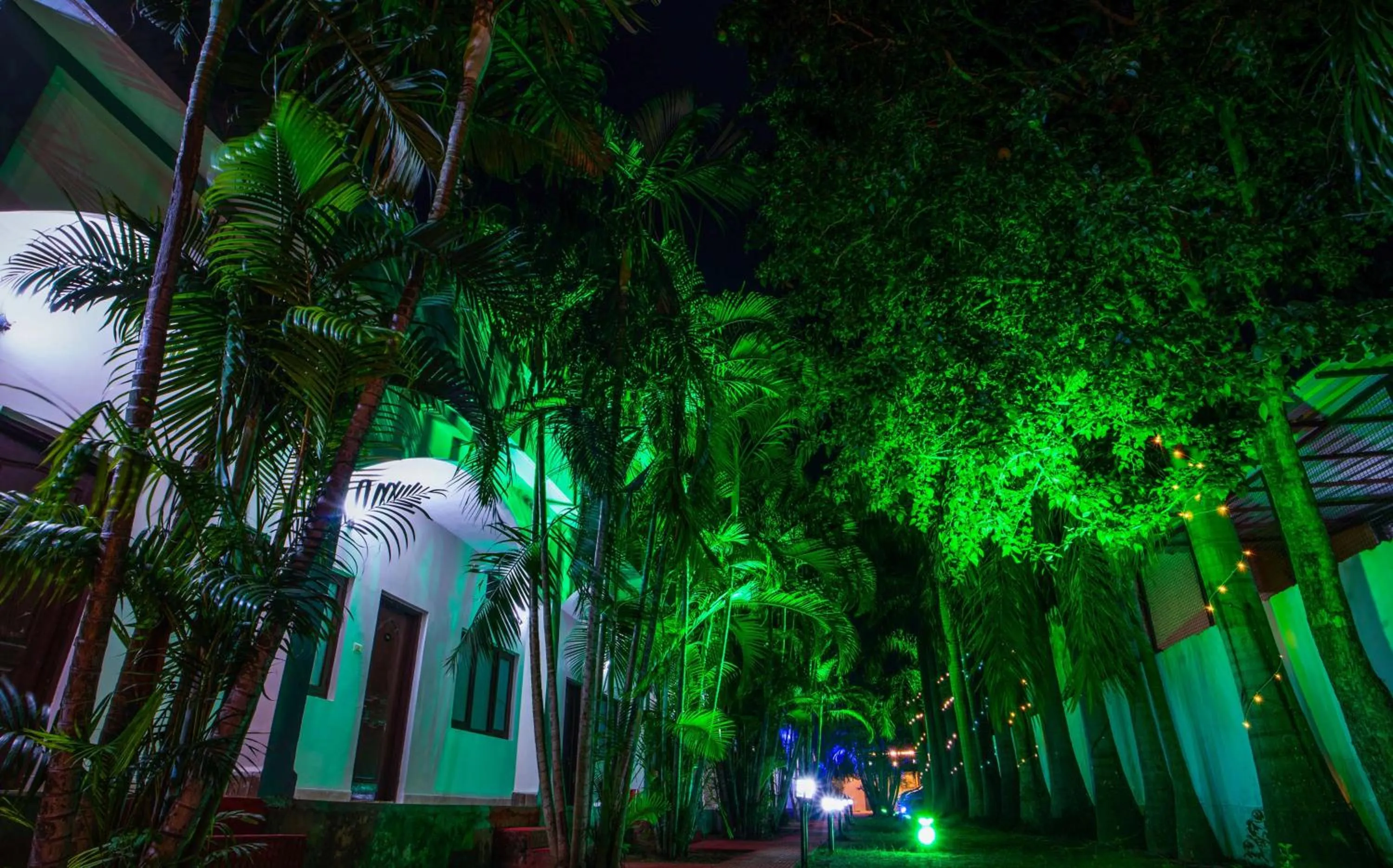 Garden view in Hotel Jungle Palace Resort