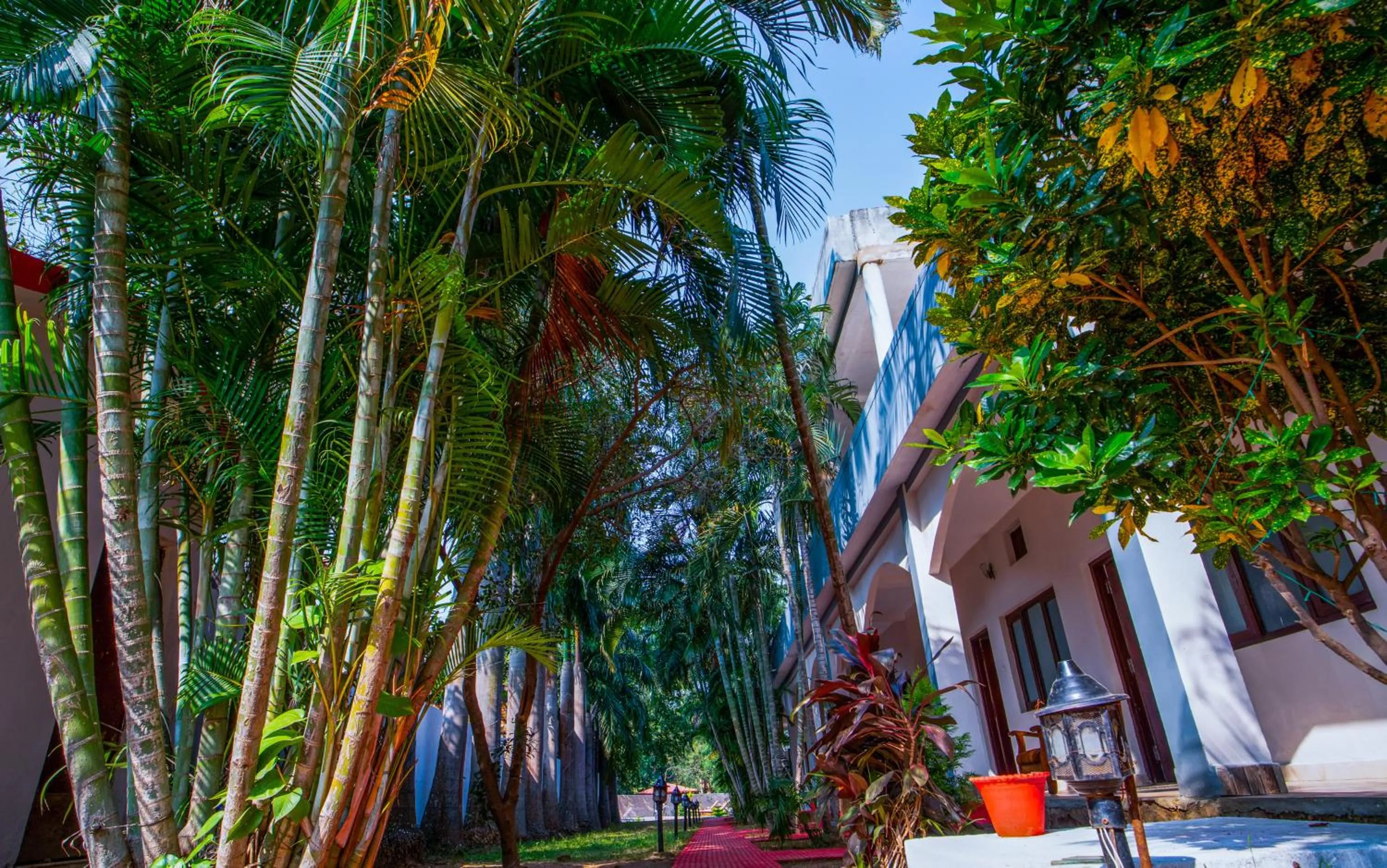 Garden view in Hotel Jungle Palace Resort