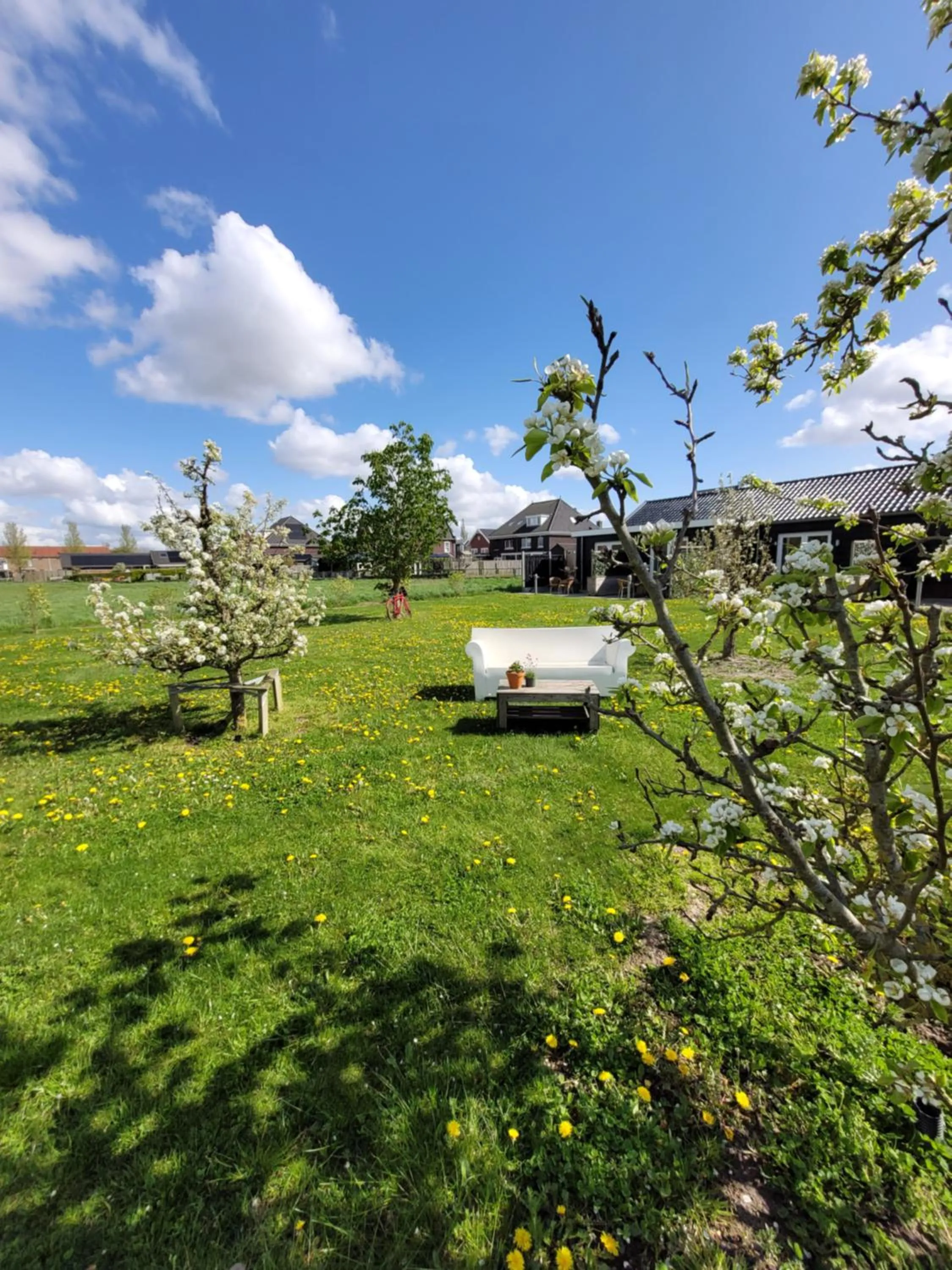 Garden in B&B Buutegeweun