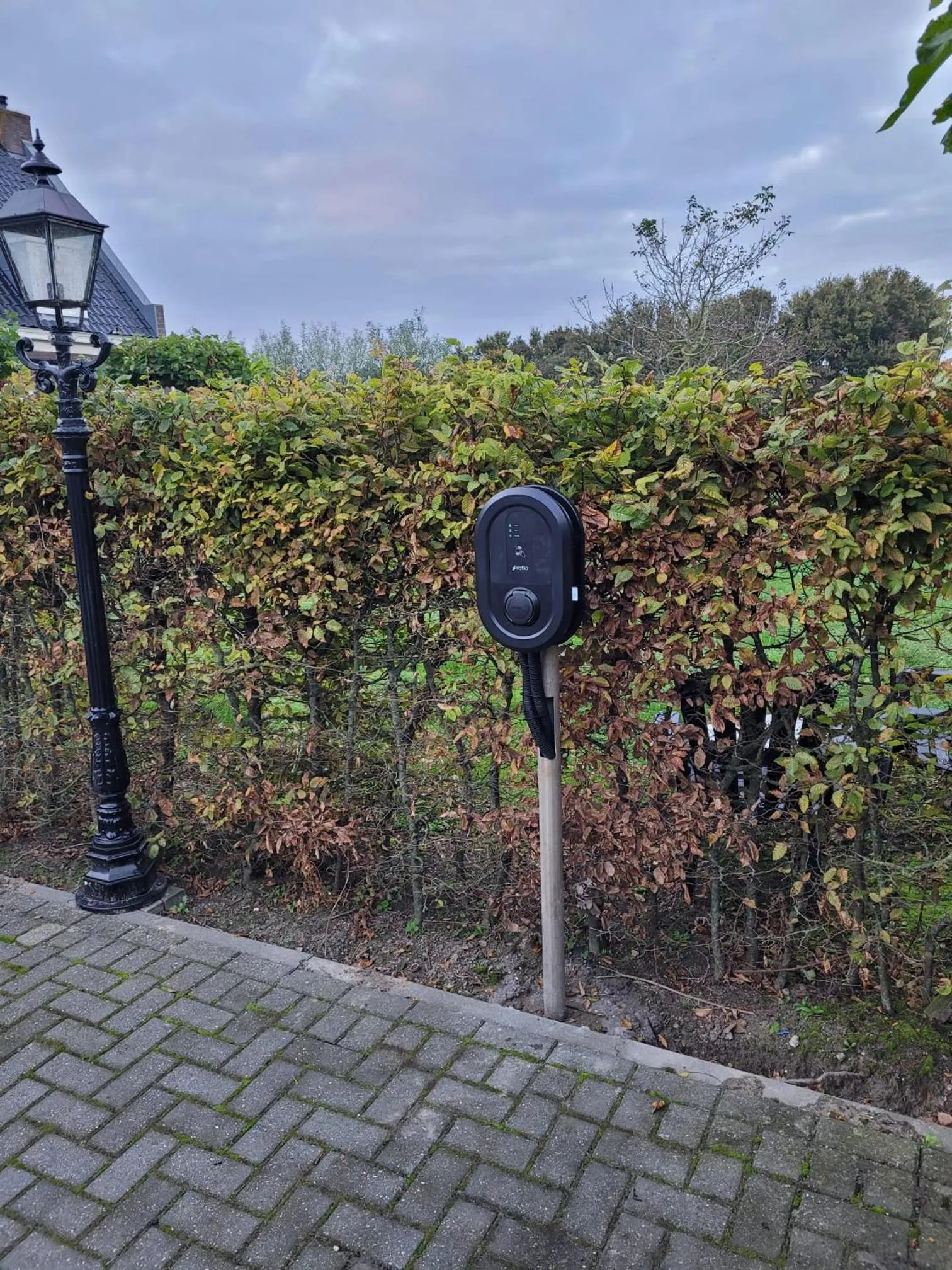 Garden in B&B Buutegeweun