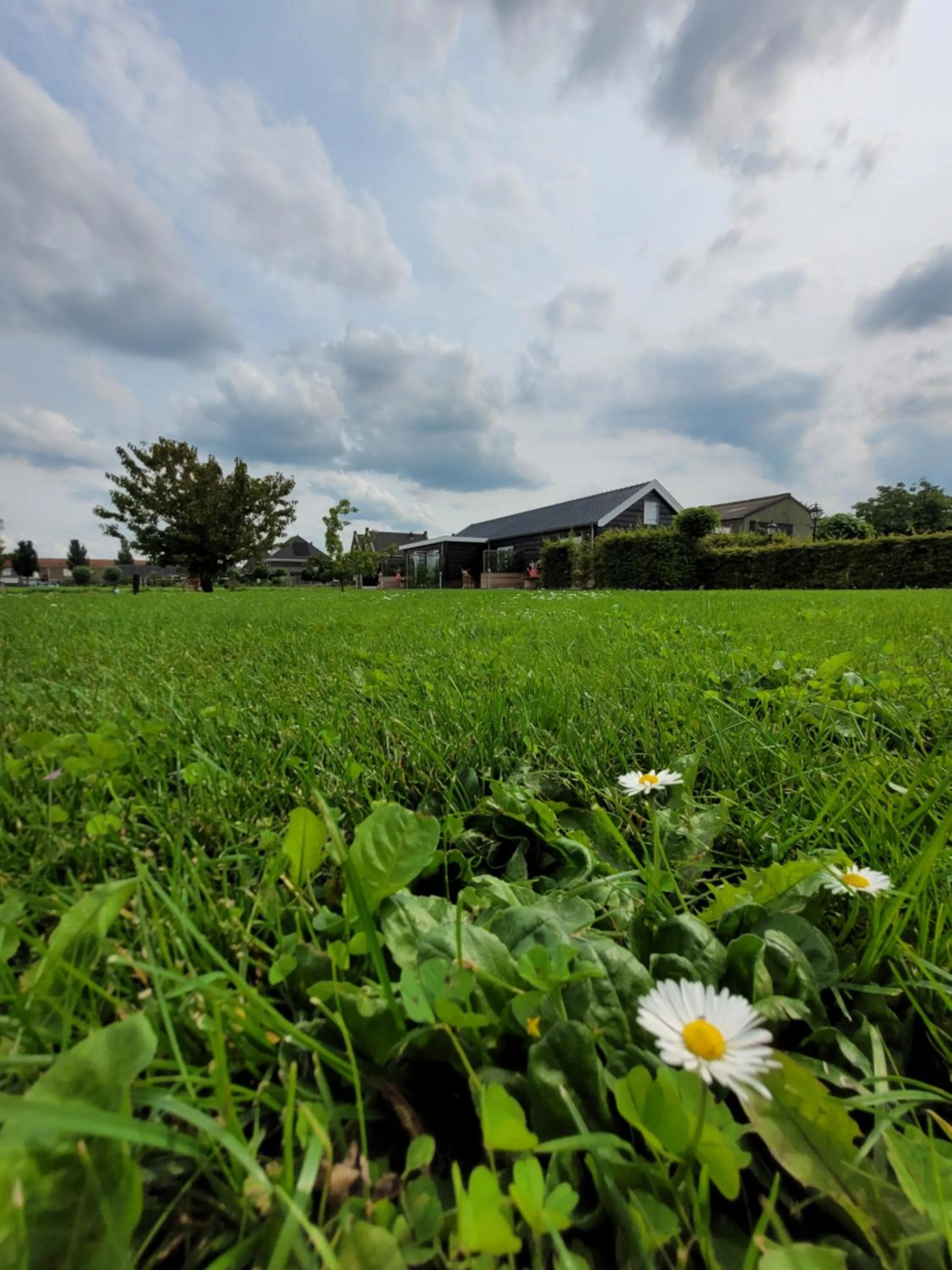 Garden in B&B Buutegeweun