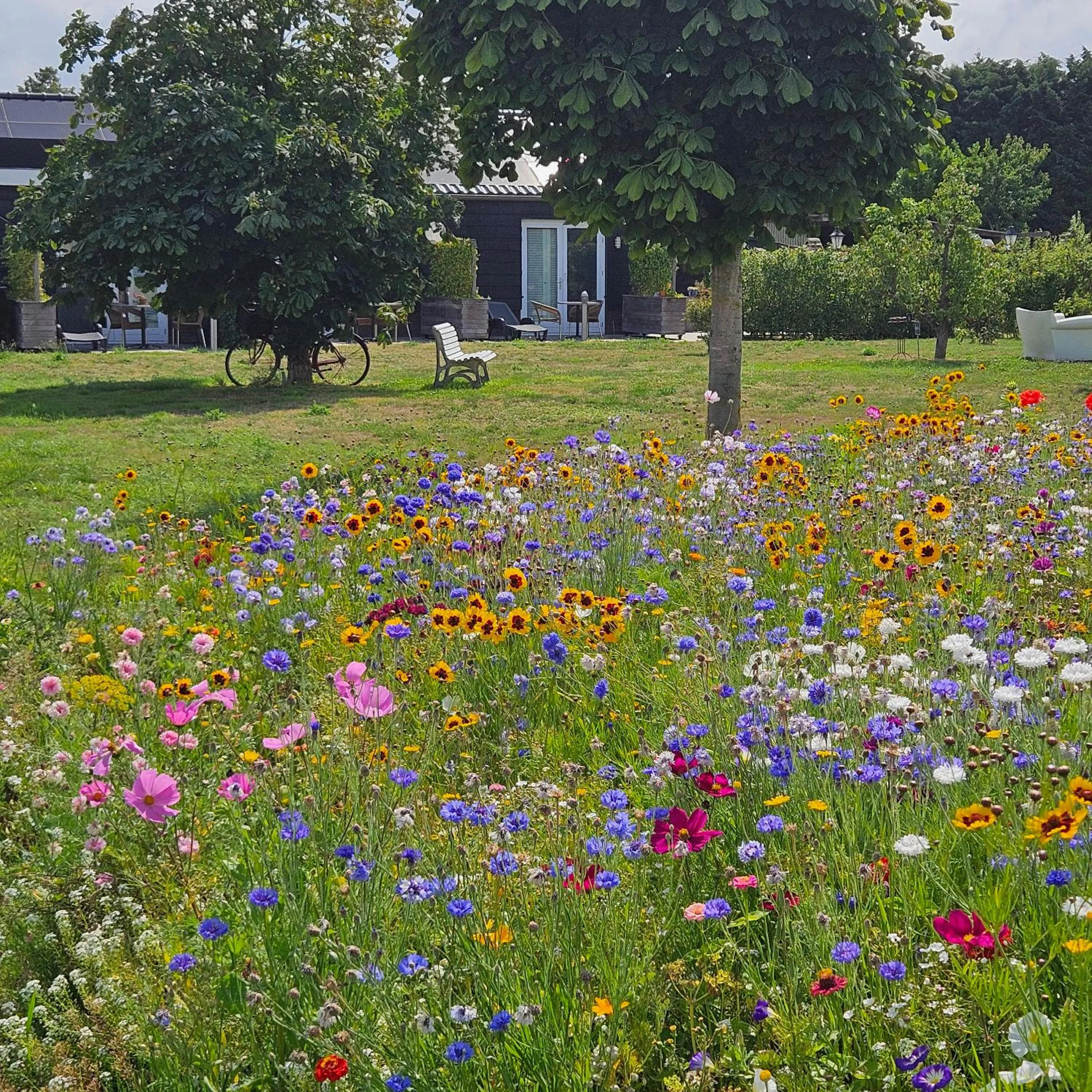Property building in B&B Buutegeweun