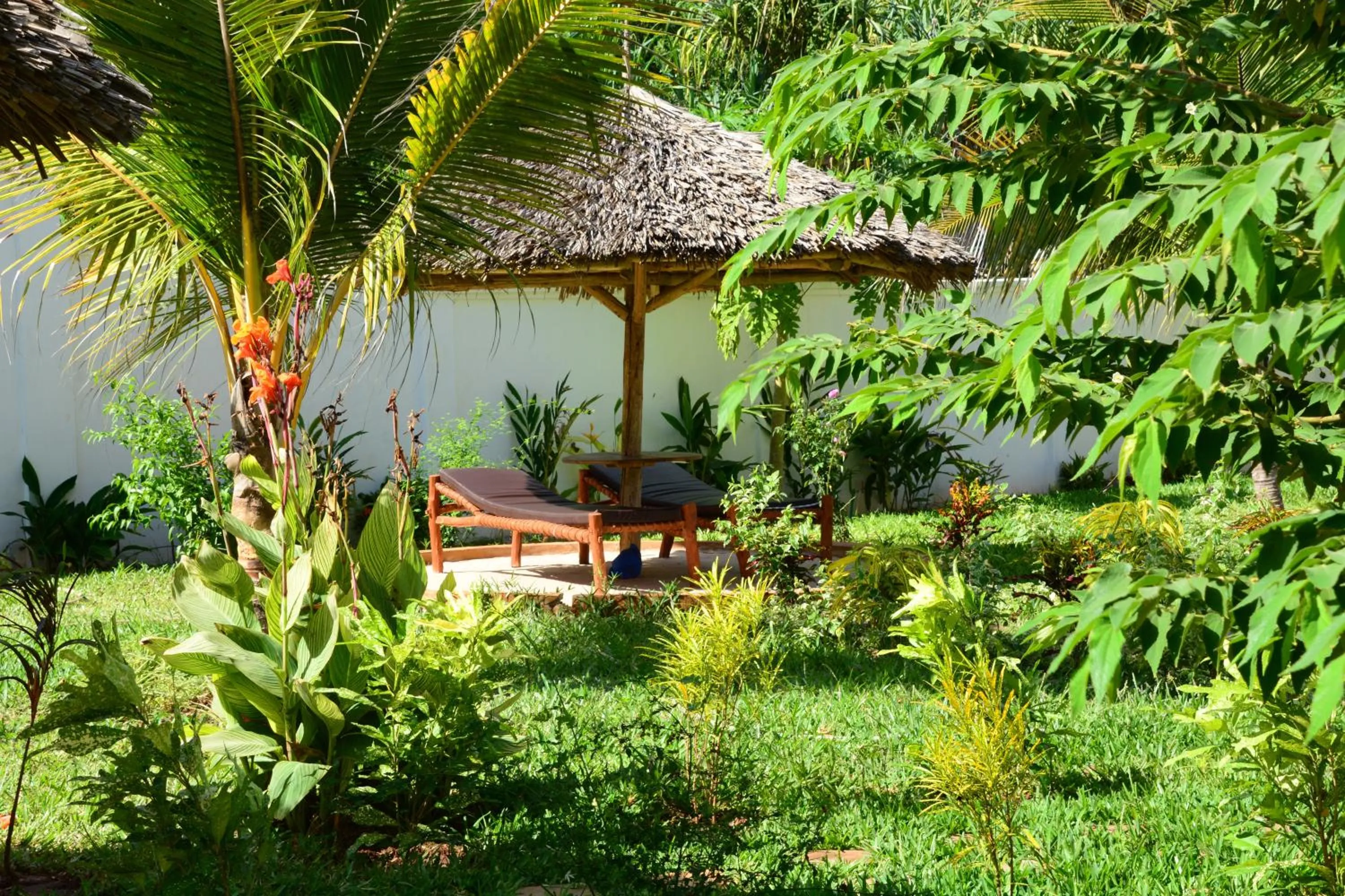 Garden in Zanoceanique Hotel