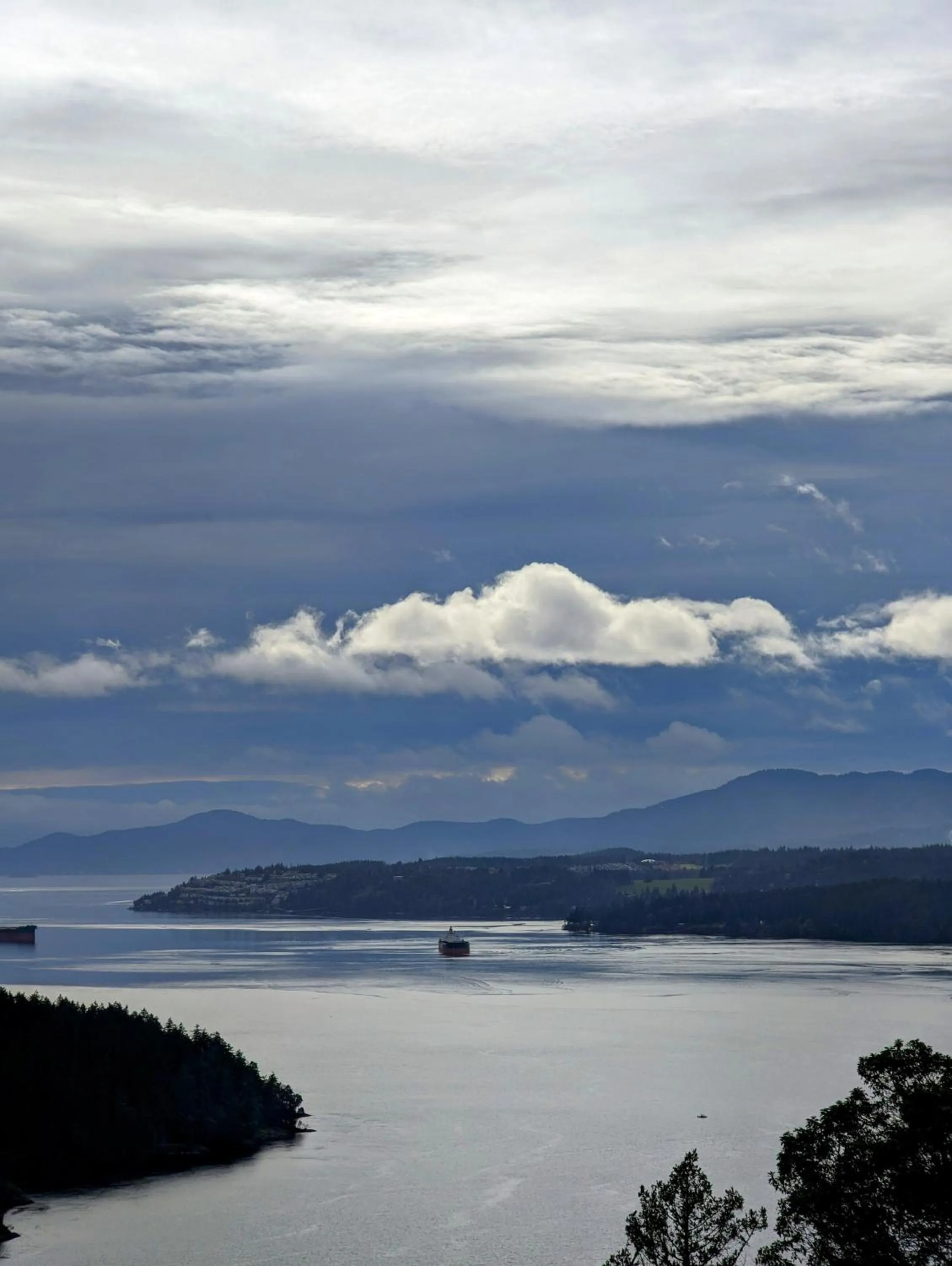 Hiking in Maple Rise Guesthouse