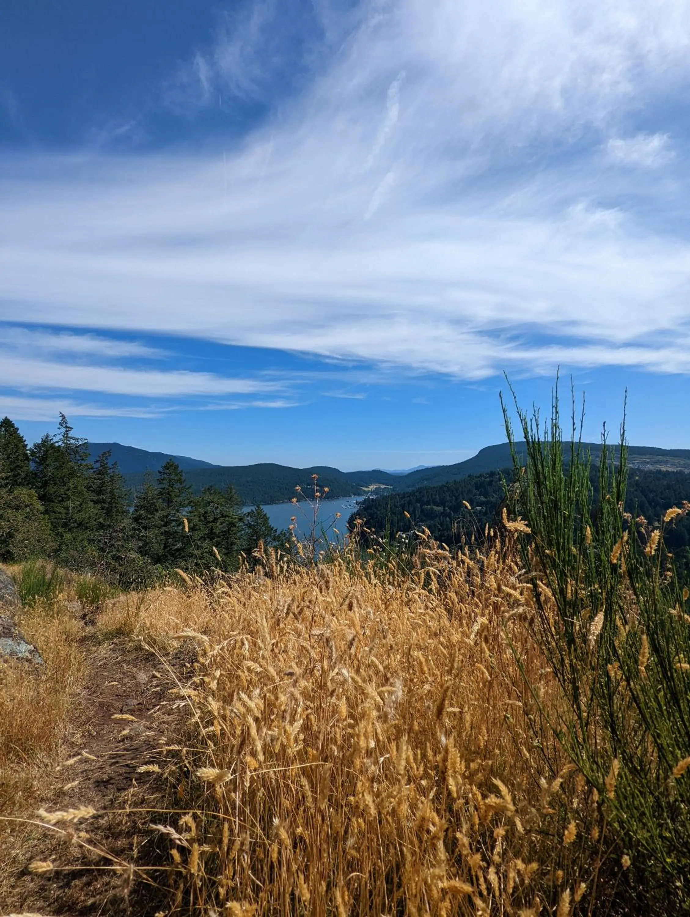 Hiking in Maple Rise Guesthouse