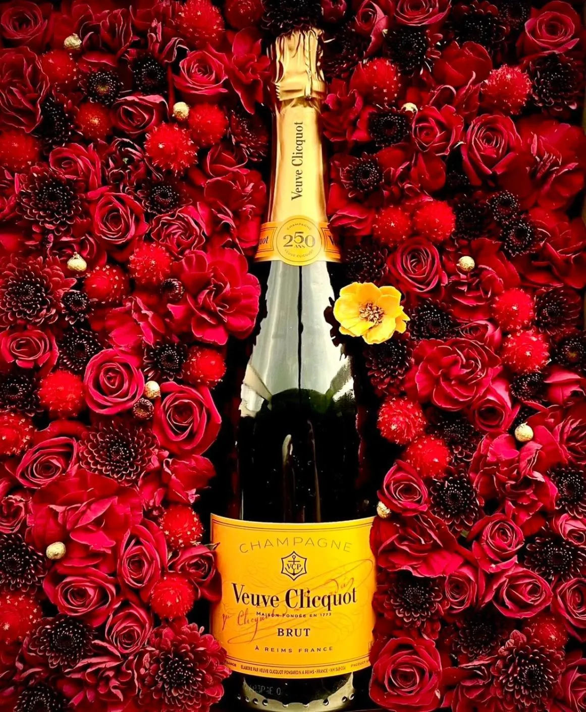 Alcoholic drinks in Hotel Japanesque Fukuoka