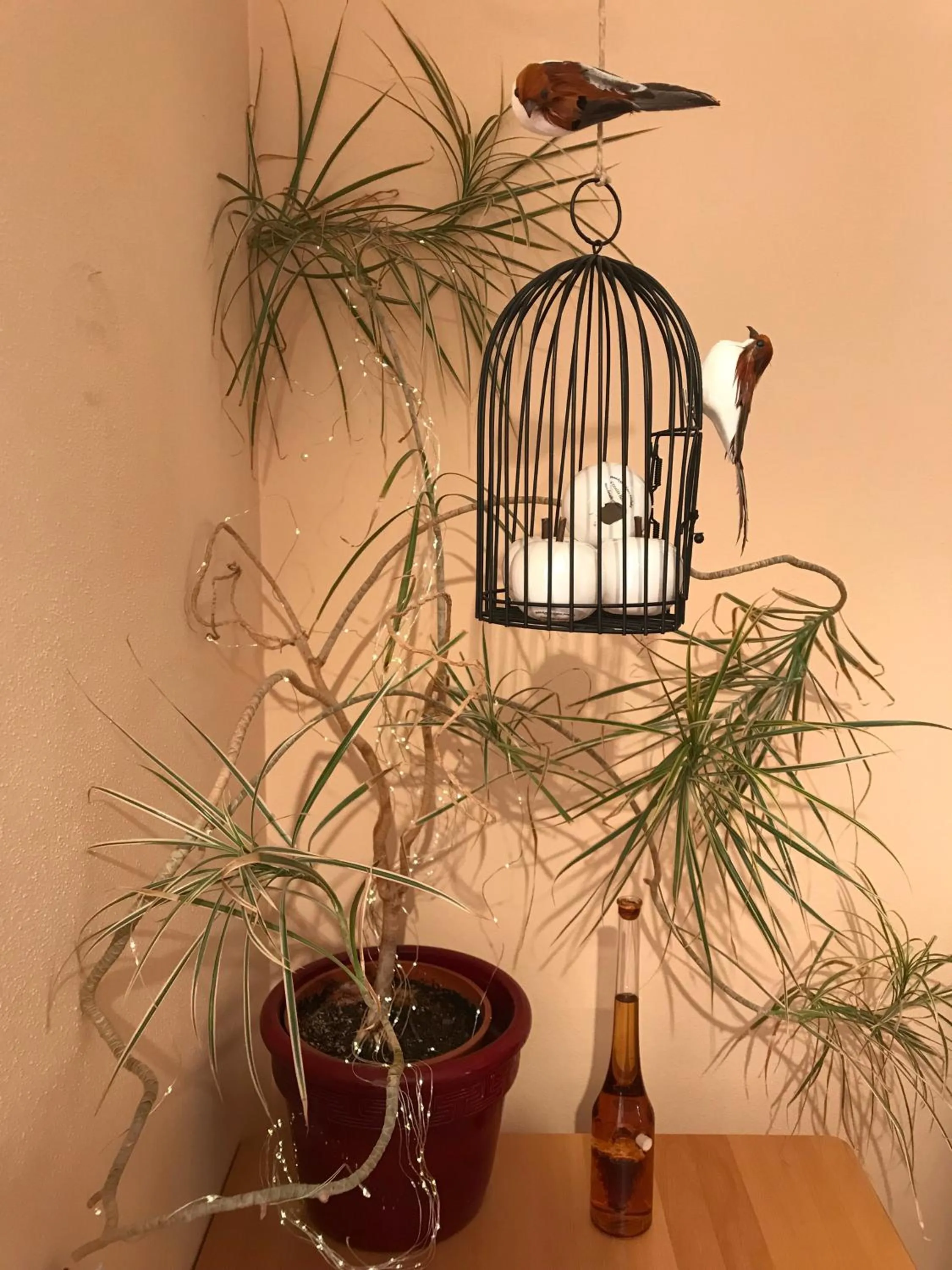 Buffet breakfast in AngerResidenz