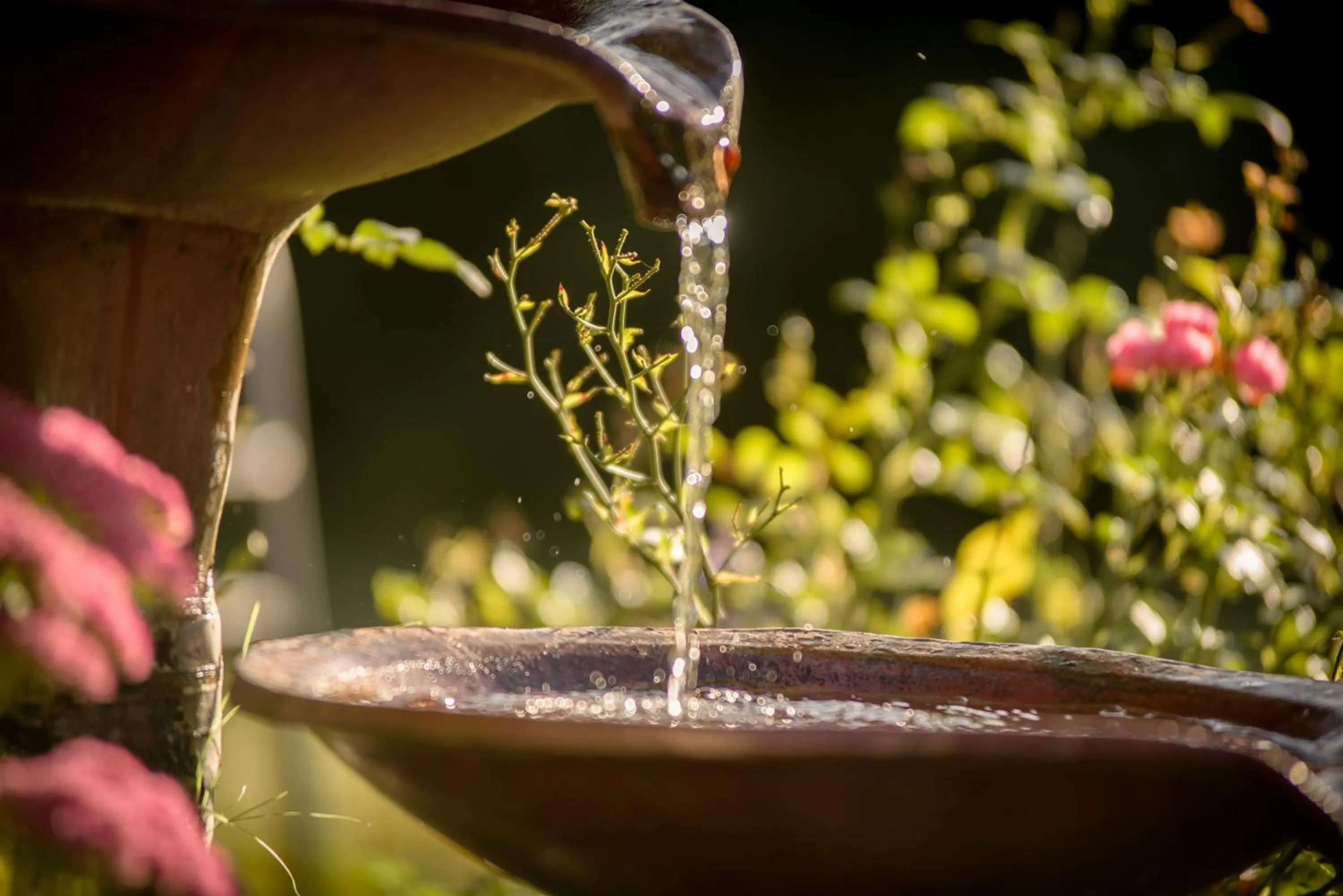 Garden in AngerResidenz