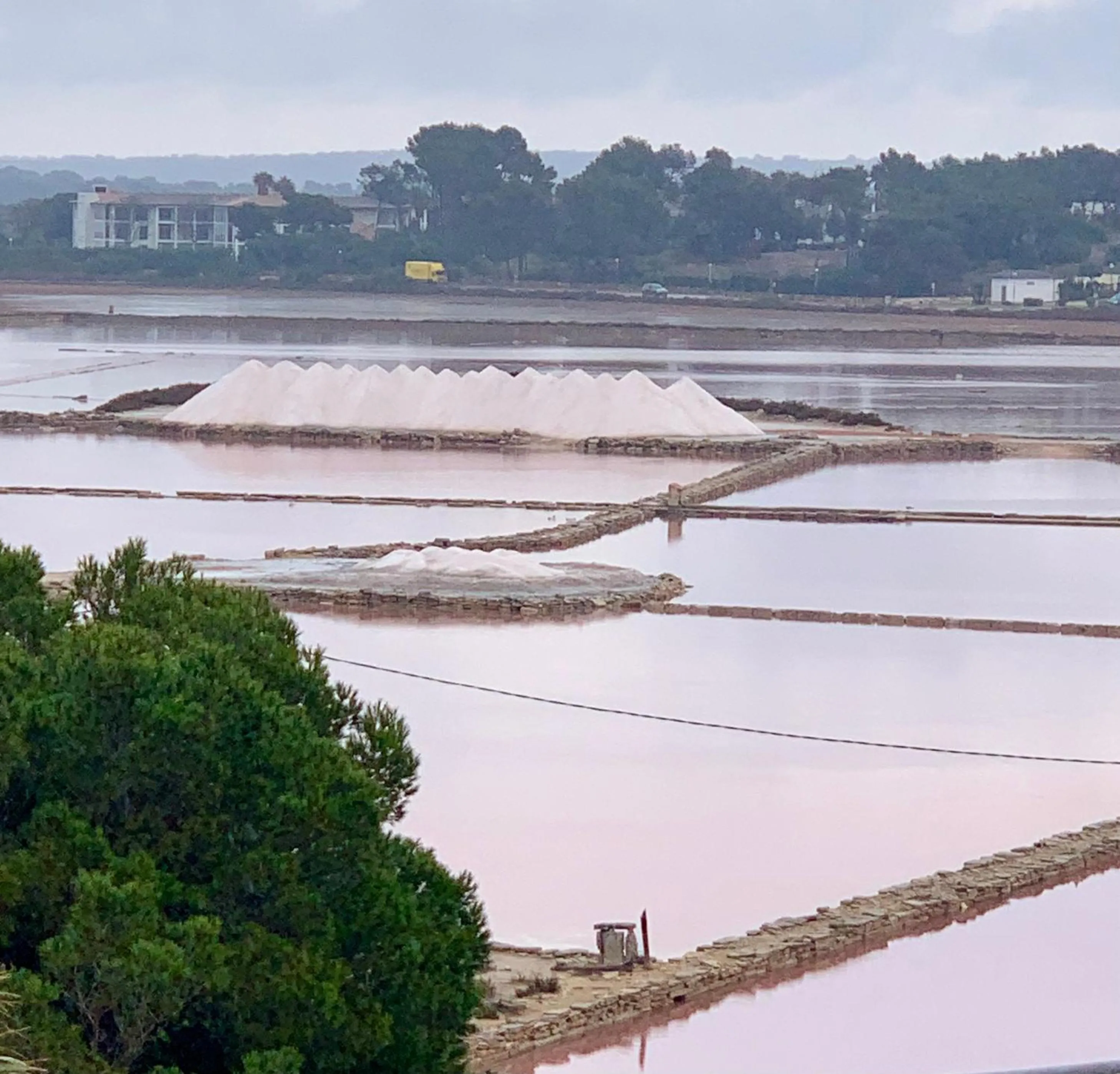 Natural landscape in Villa Piccola by Cassai