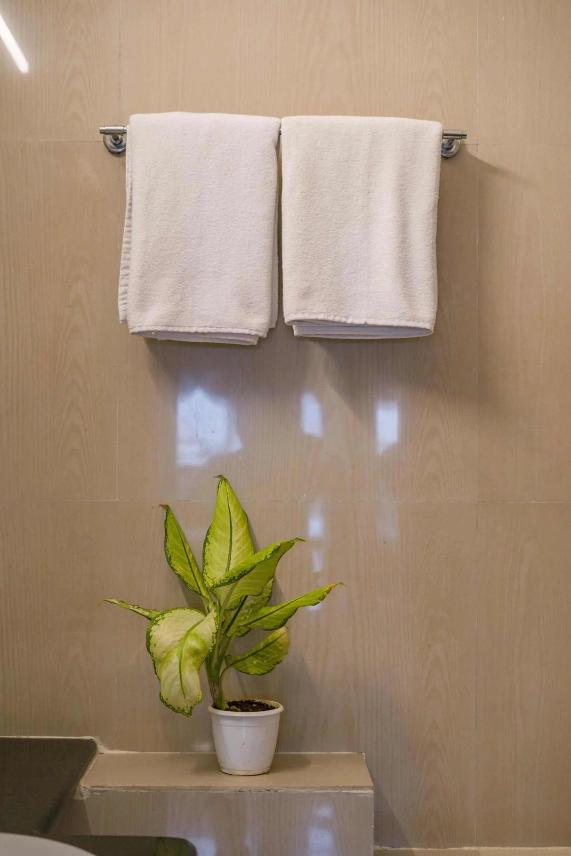 Bathroom in Hotel The Shagun