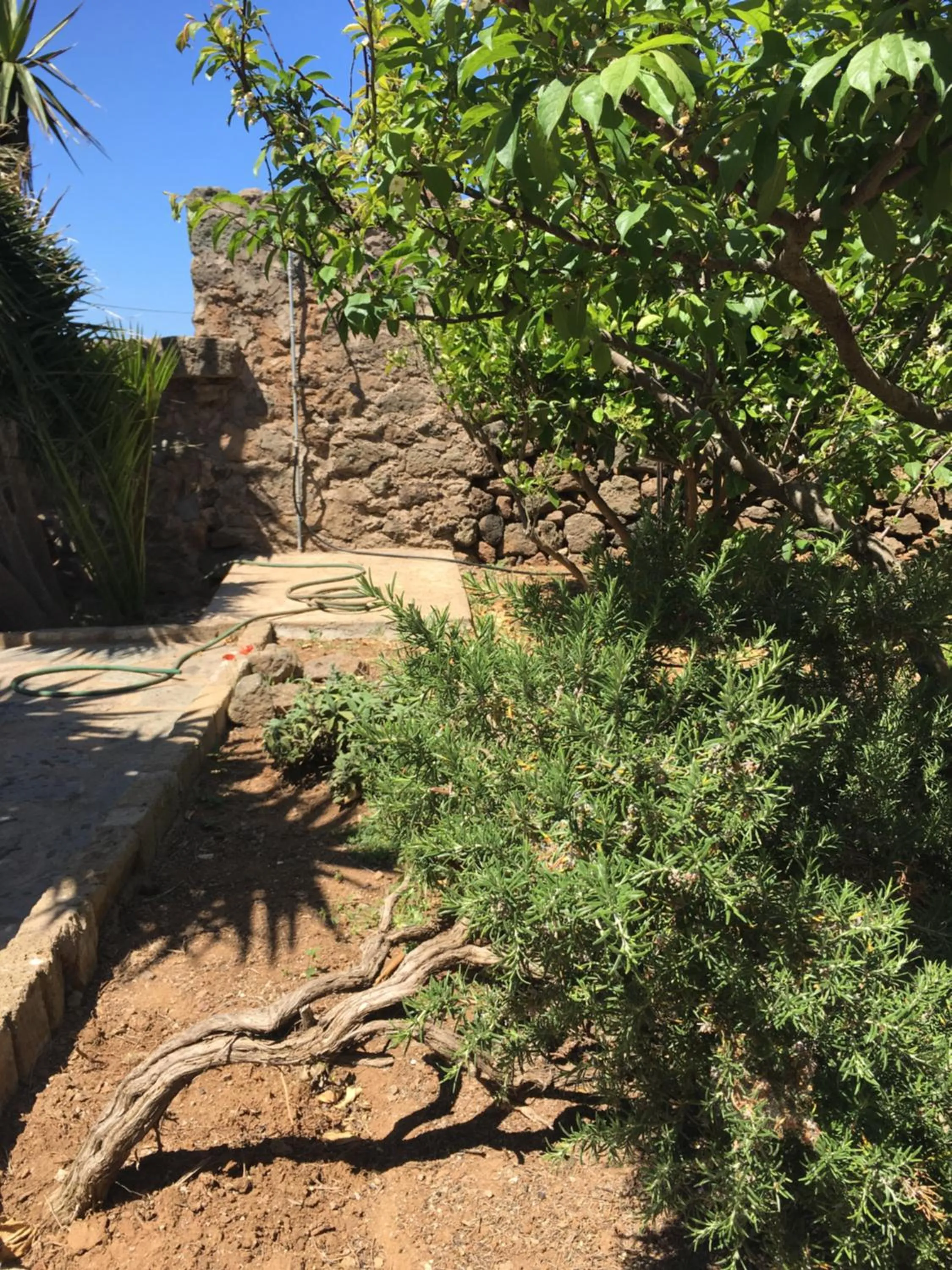 Garden view in Cactus b&b Le casette di Marilena