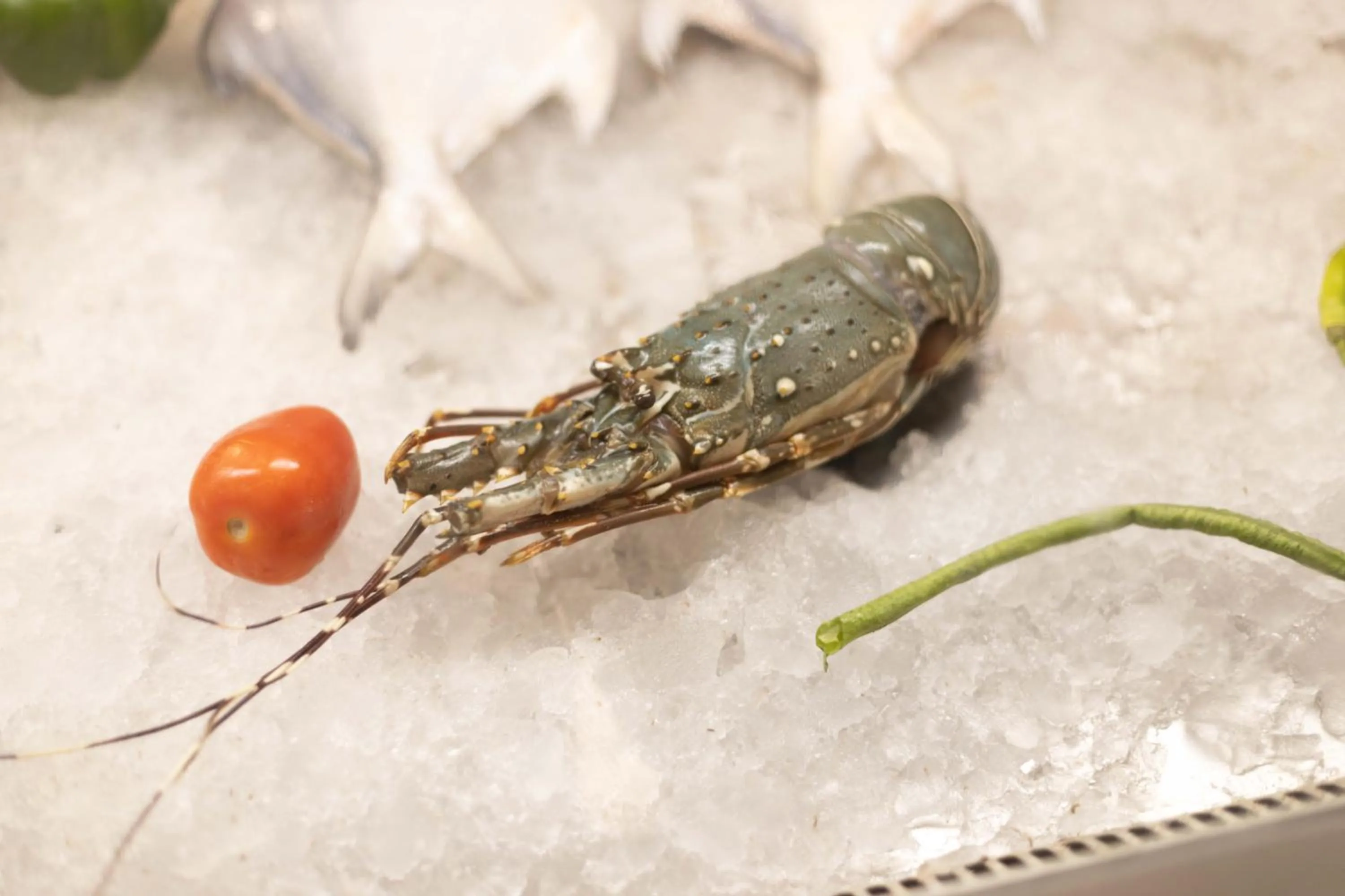 Hotel Kollol by J&Z Group