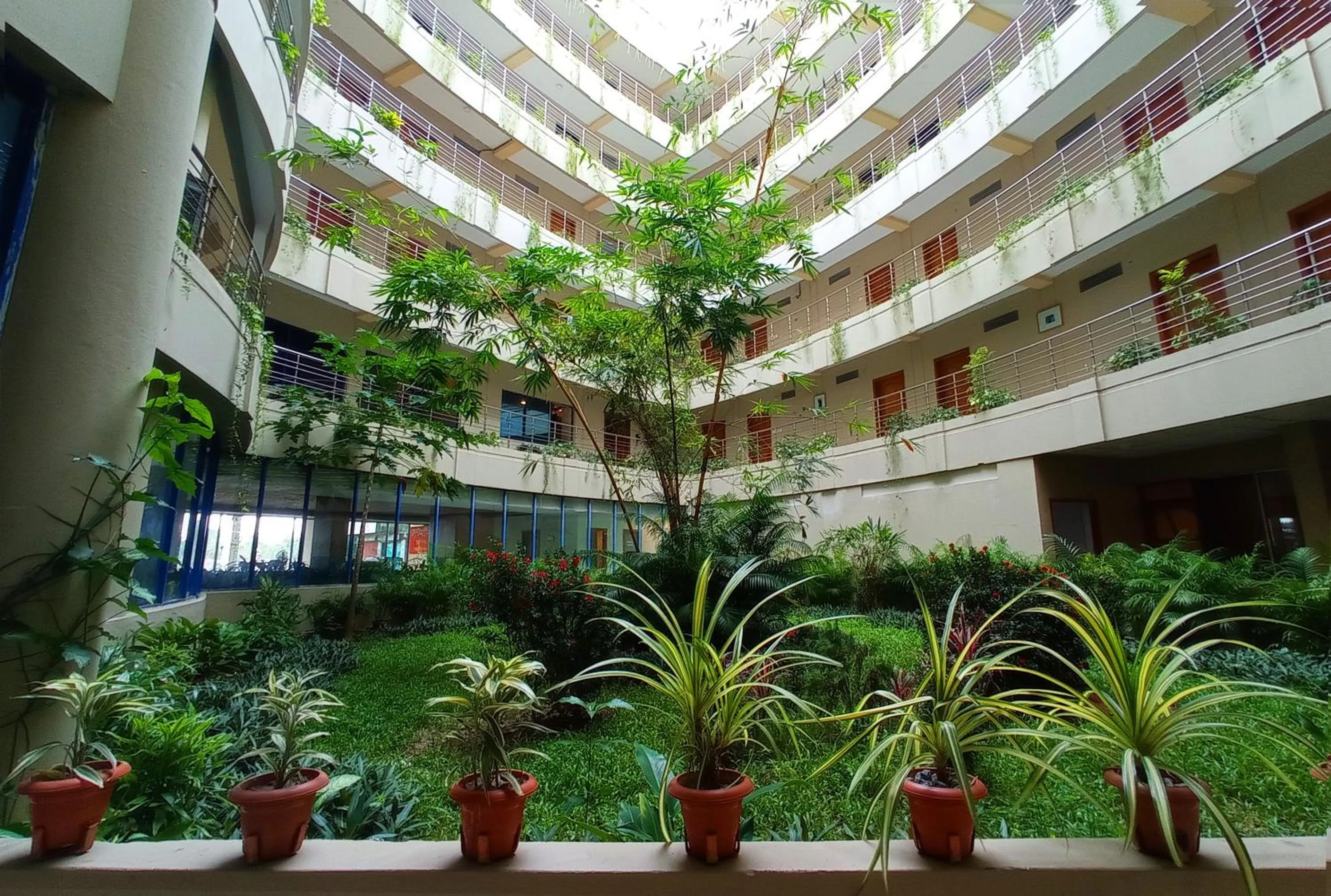 Garden in Hotel Kollol by J&Z Group