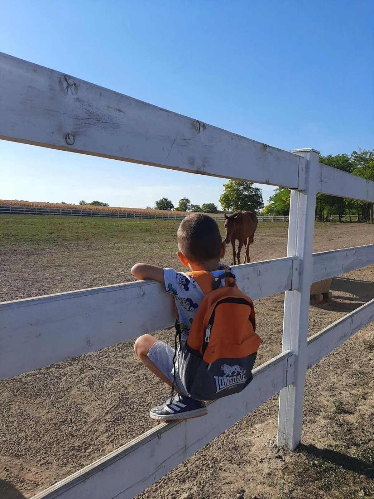 Horse-riding in Miznah Hotels & Resorts