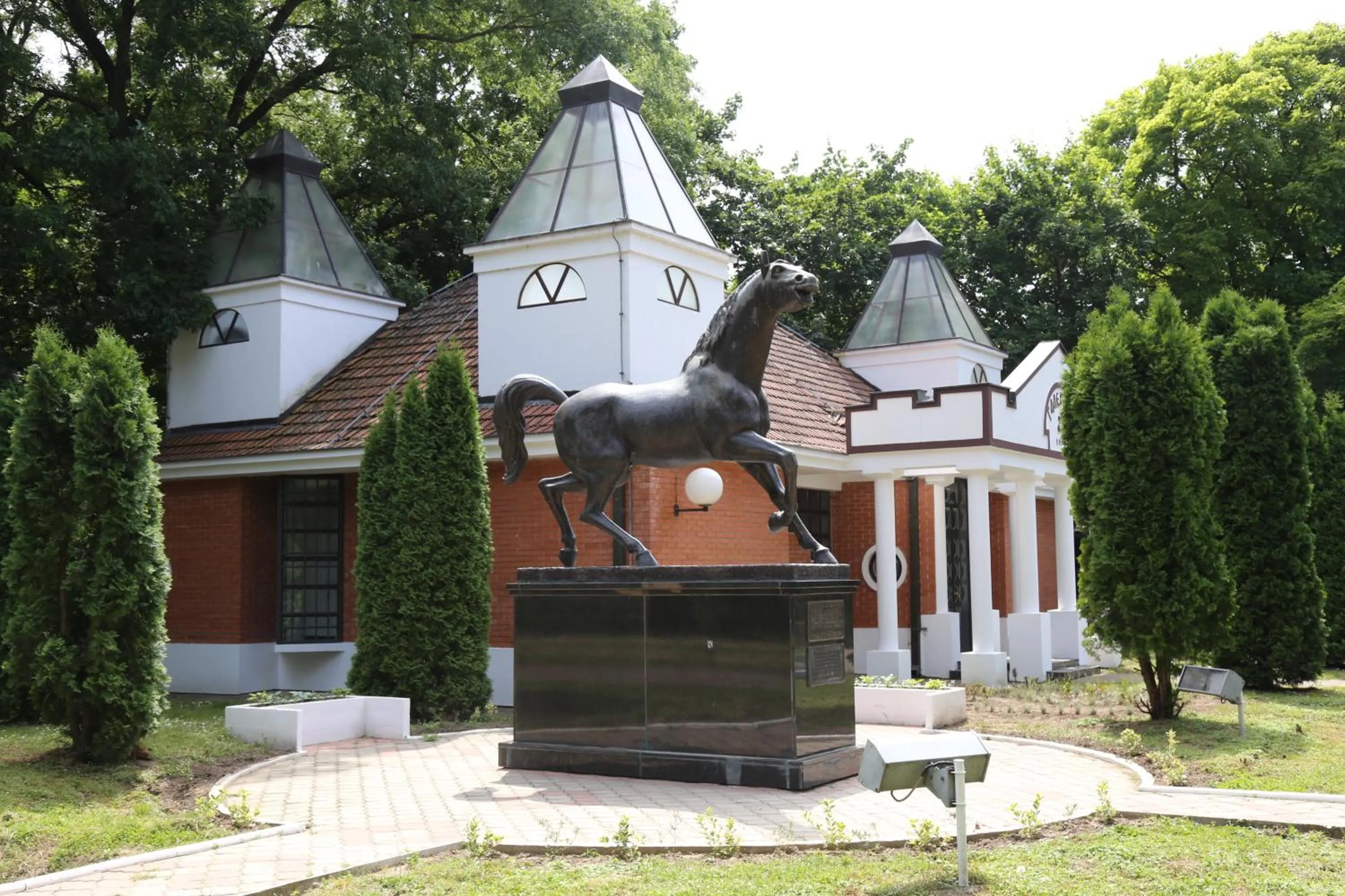 Garden in Miznah Hotels & Resorts