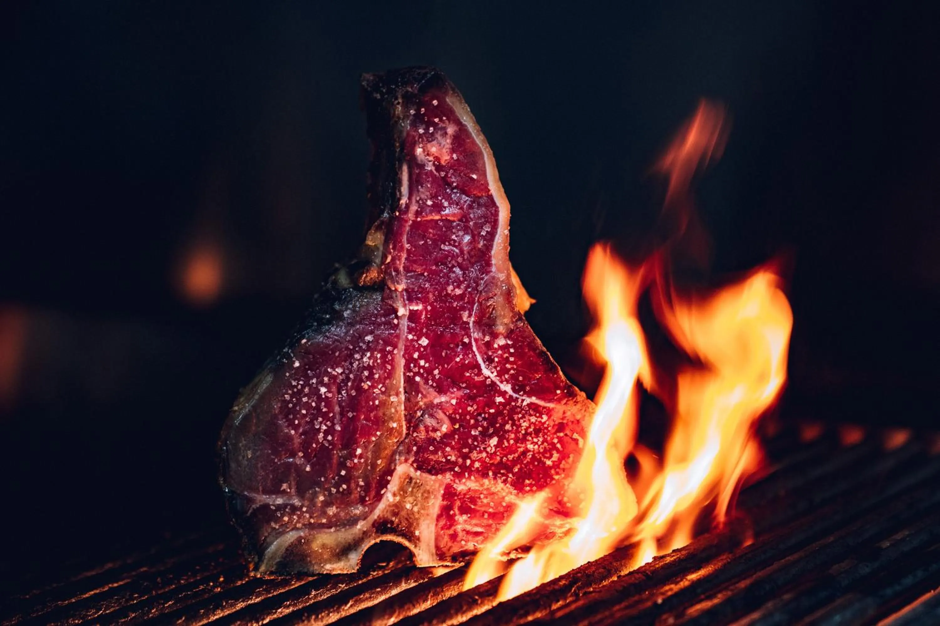 Food close-up in Der LIPPISCHE HOF