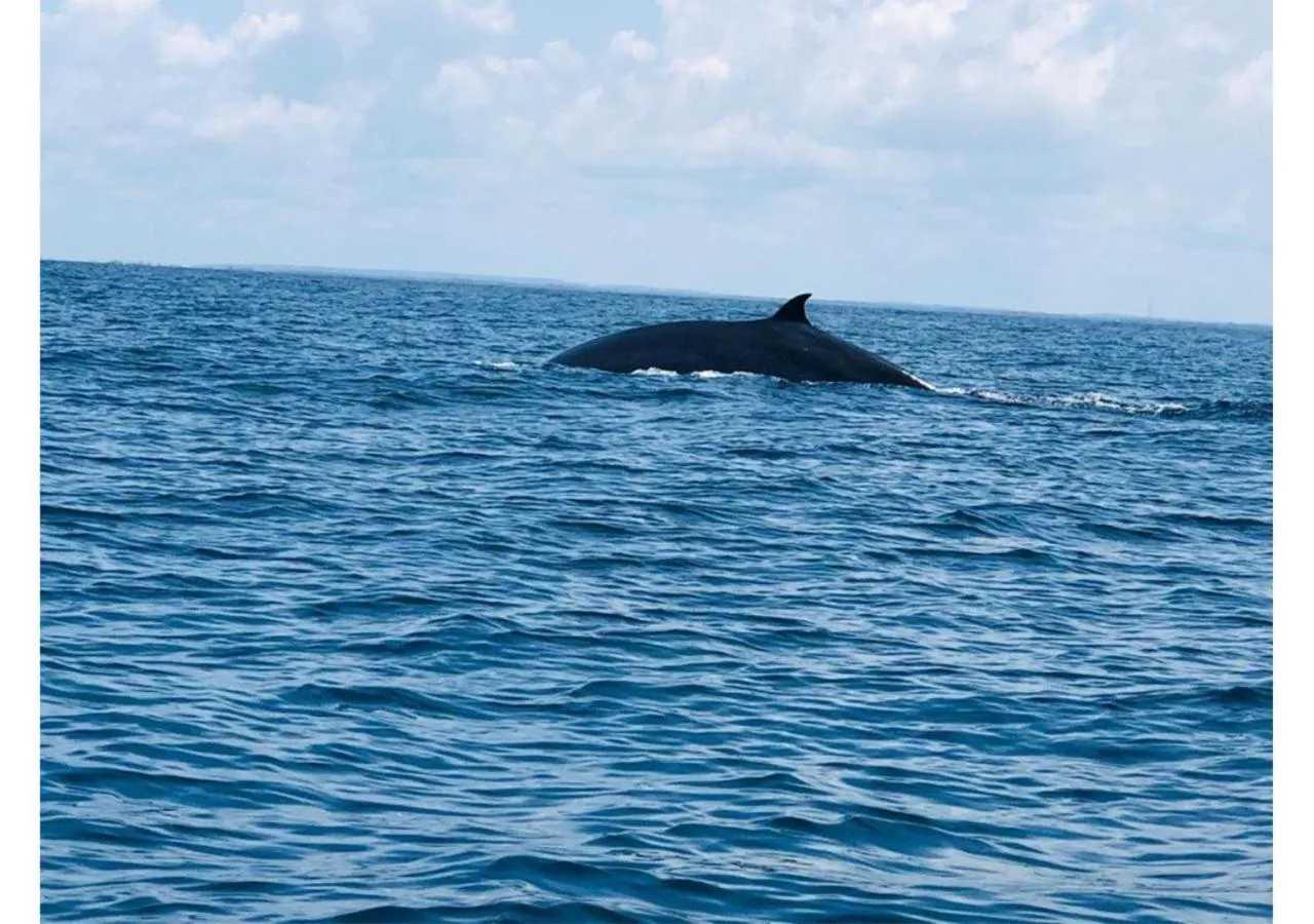 Day in The Blue Lagoon Resort Kalpitiya