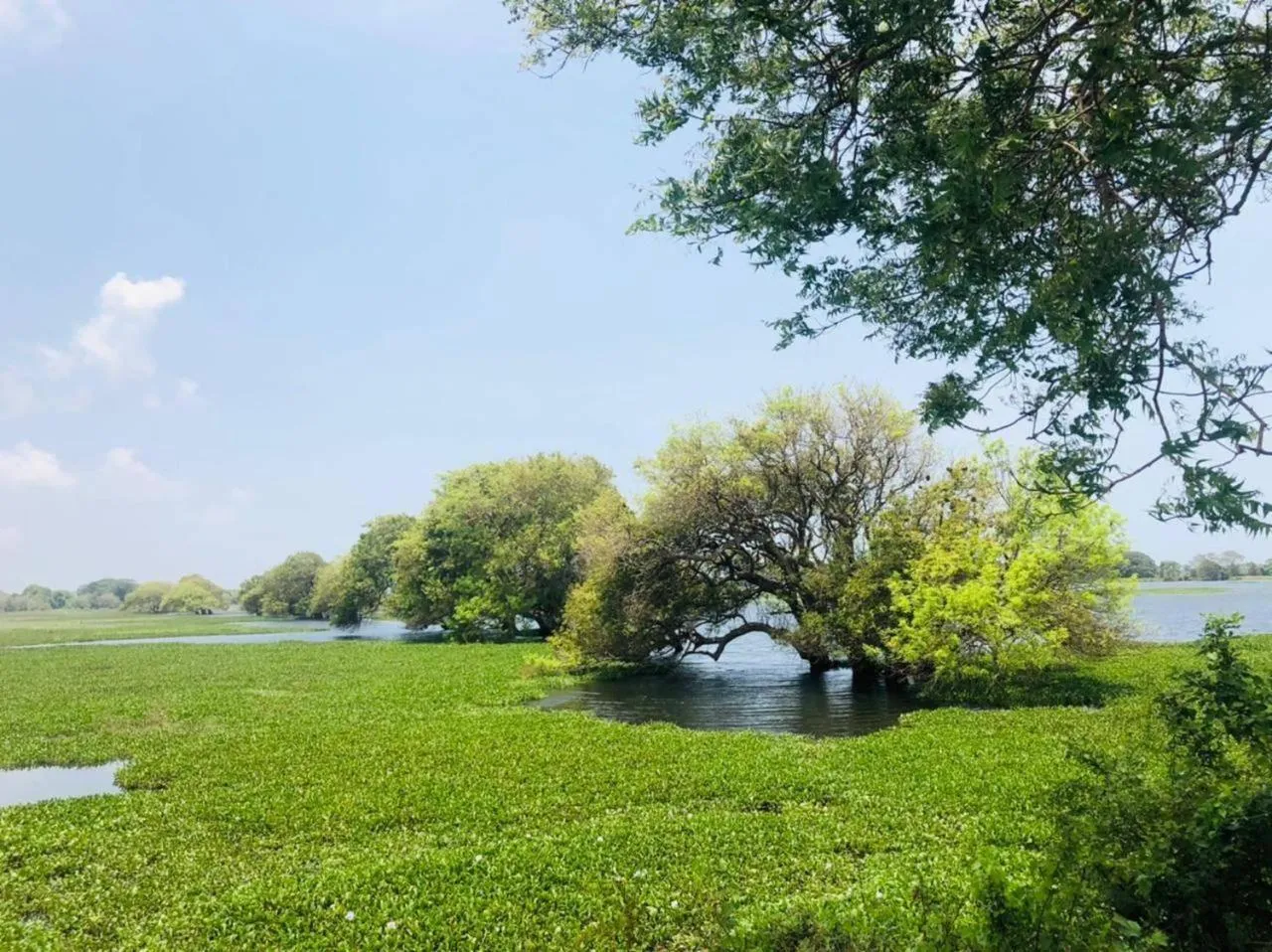 Property building in The Blue Lagoon Resort Kalpitiya