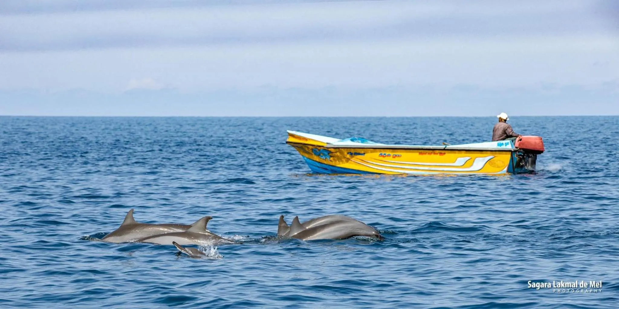 Activities in The Blue Lagoon Resort Kalpitiya