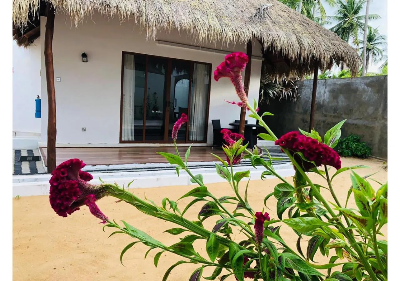 Property building in The Blue Lagoon Resort Kalpitiya