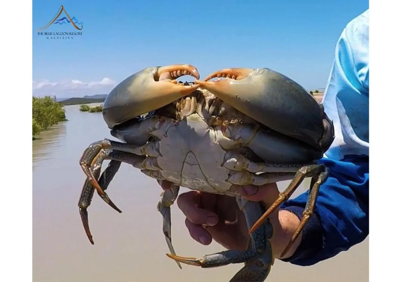 Day in The Blue Lagoon Resort Kalpitiya