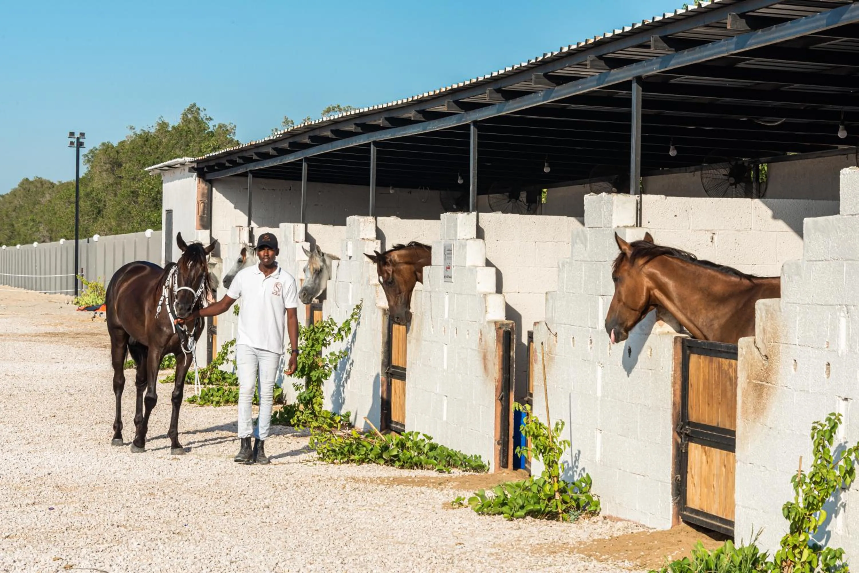 Horse-riding in HDB Al Khobar Resort & Spa