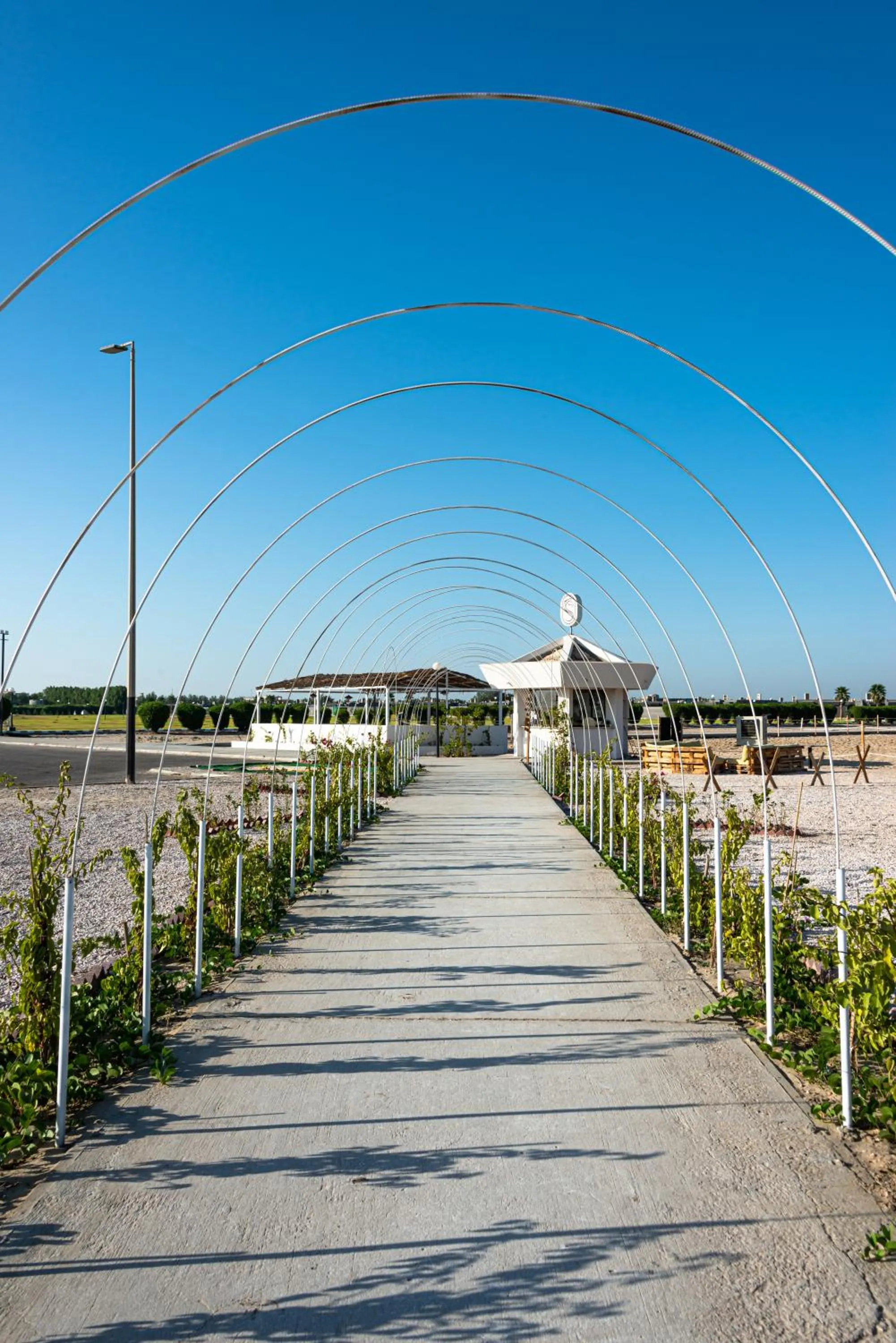Horse-riding in HDB Al Khobar Resort & Spa