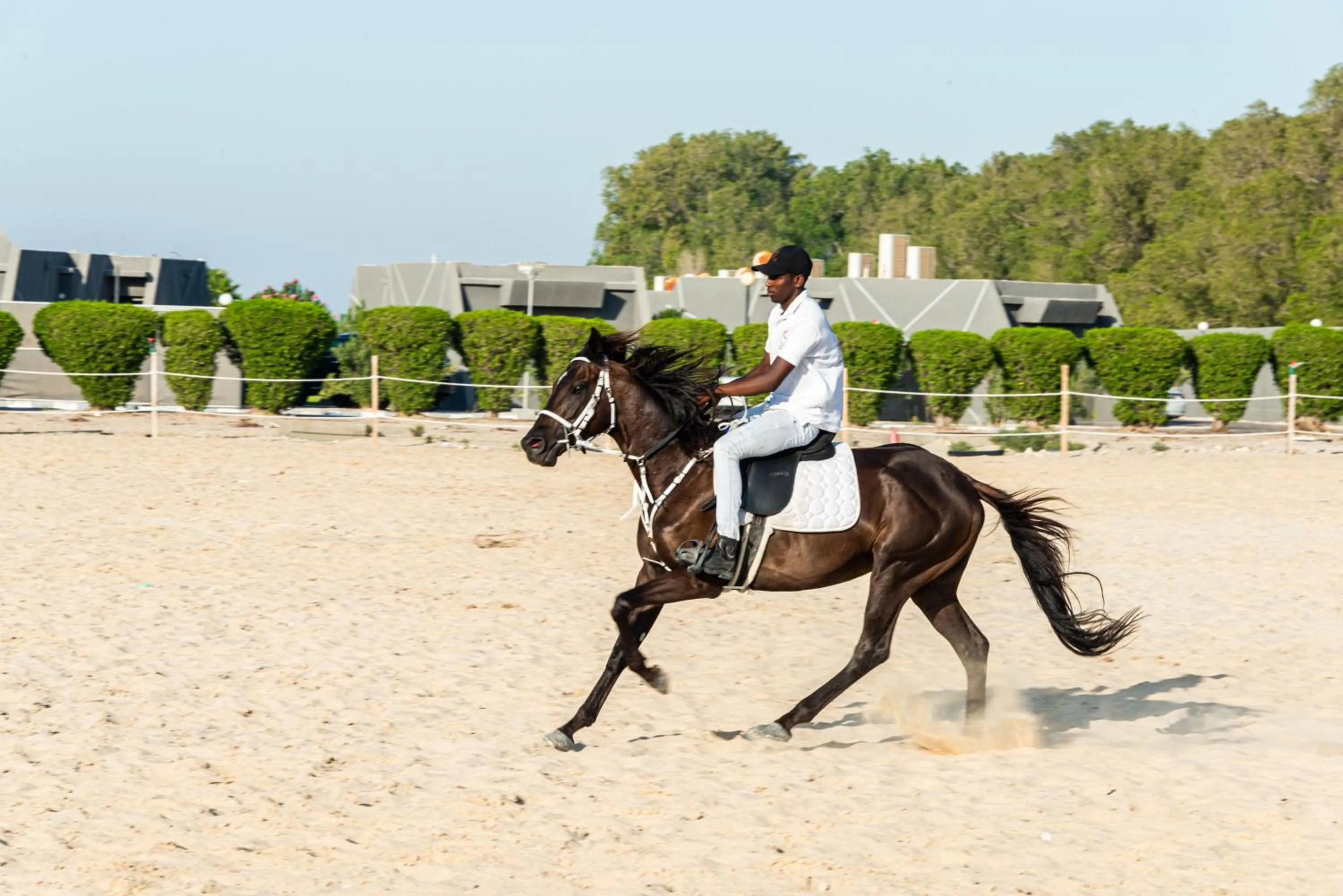 Horse-riding in HDB Al Khobar Resort & Spa