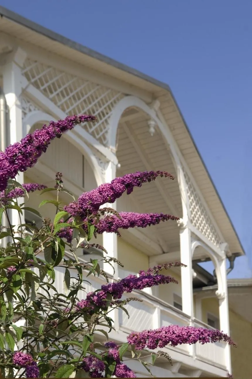 Facade/entrance in Wald-Hotel