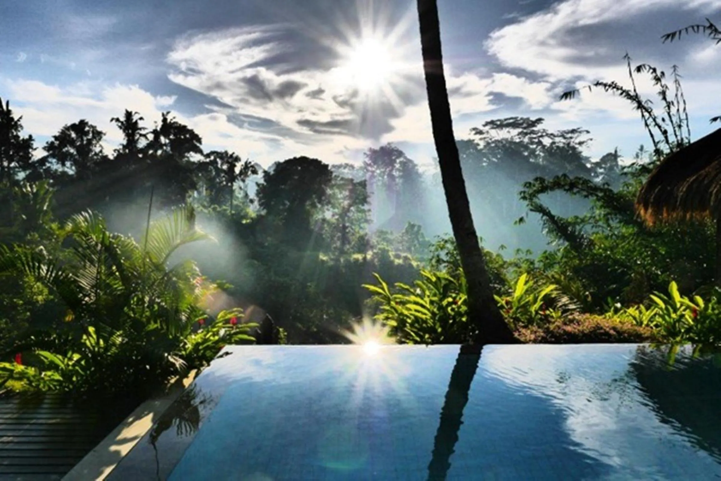Swimming pool in Kupu Kupu Private Villa