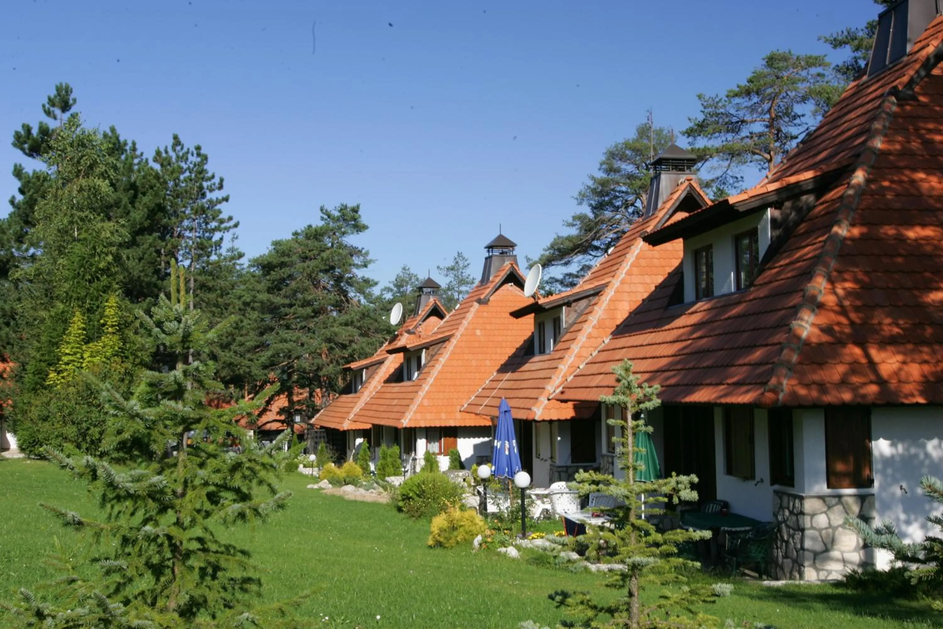 Garden in KRALjEVI KONACI ZLATIBOR
