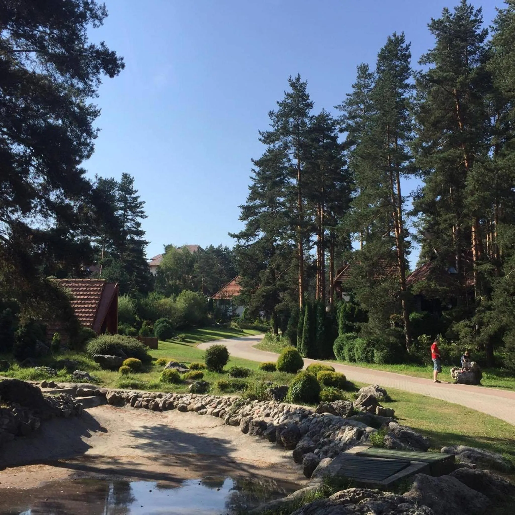 View (from property/room) in KRALjEVI KONACI ZLATIBOR