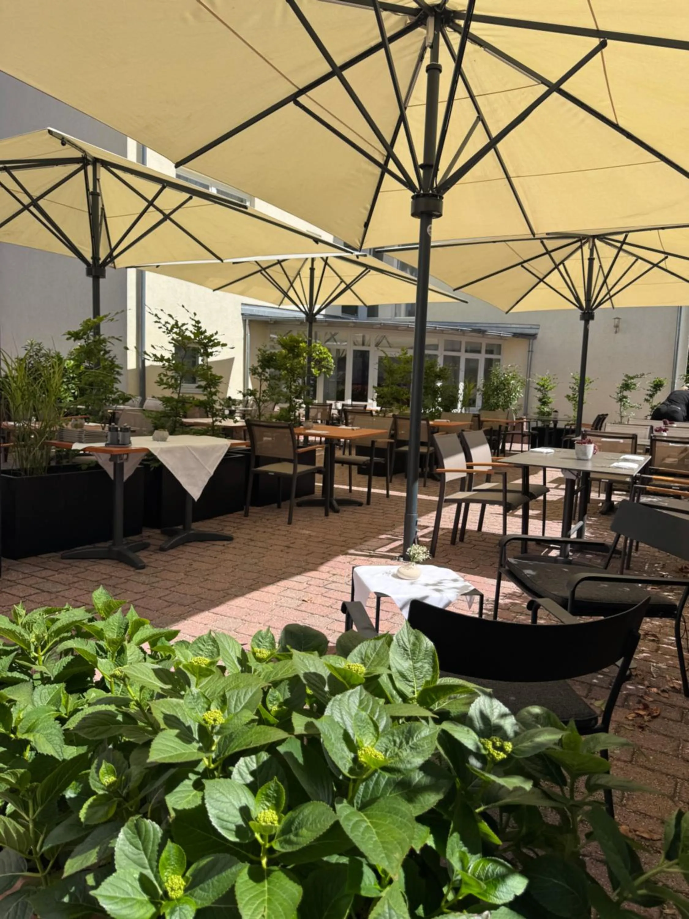 Balcony/Terrace in Birkenfelder Hof