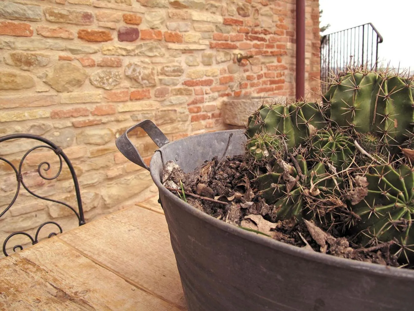 Property building in Castello di Granarola Relais - Adults Friendly -