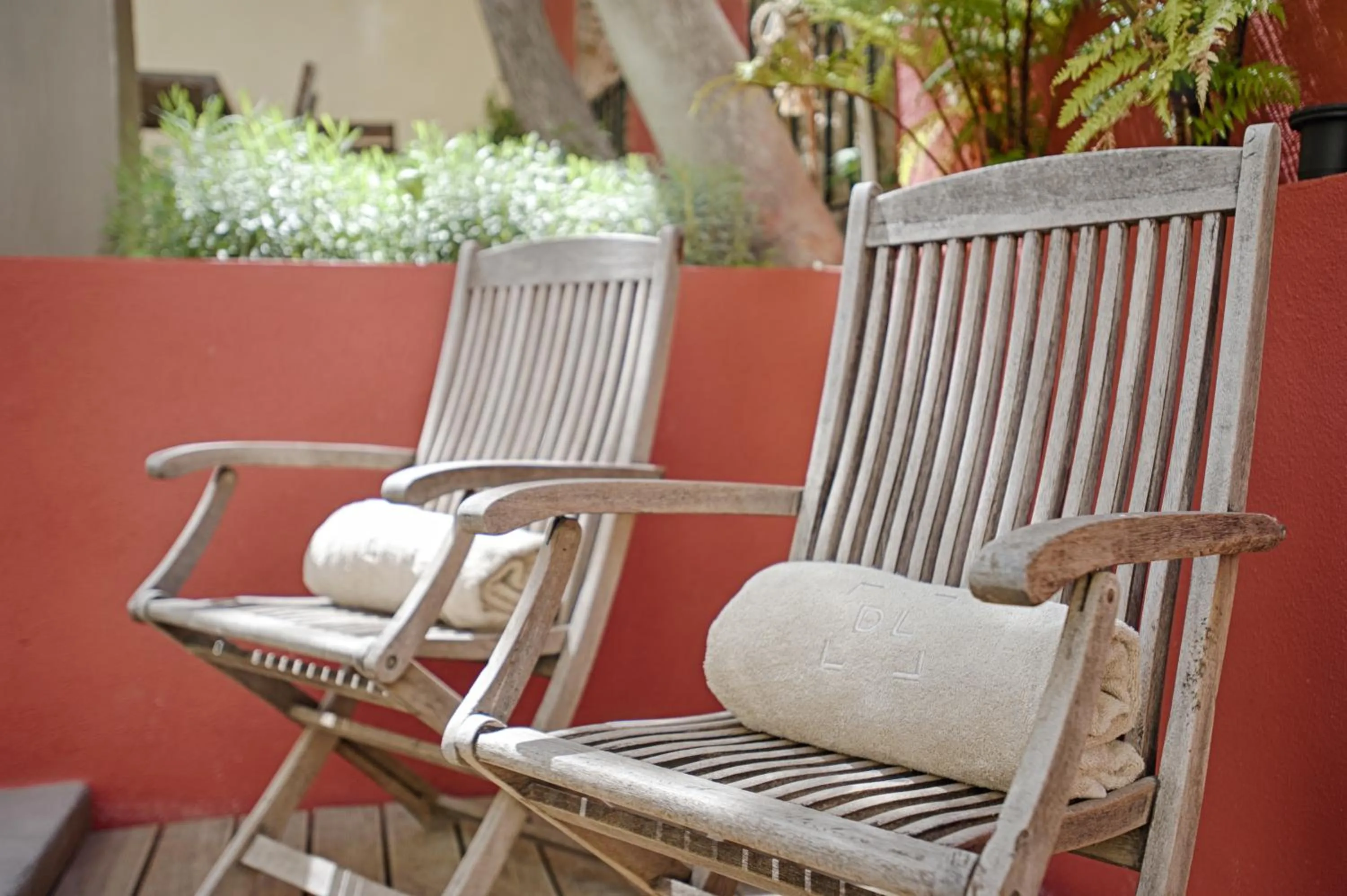 Garden in Dear Lisbon - Charming House