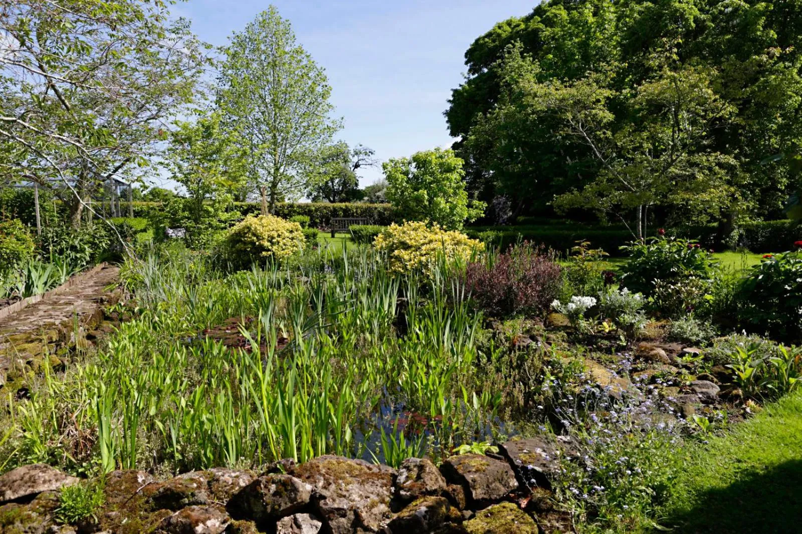 Garden in Church Farm B&B near Telford and Ironbridge
