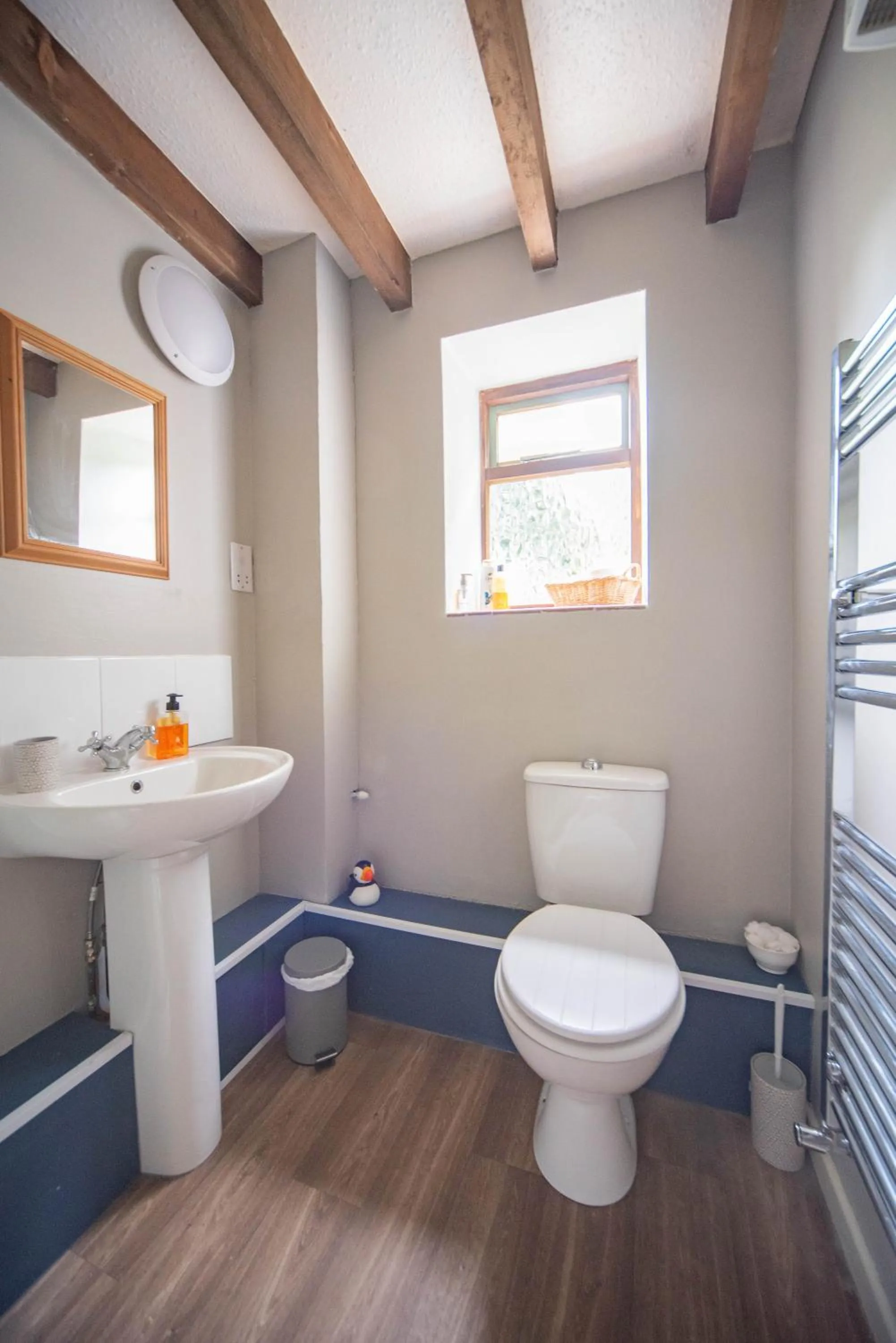 Toilet in Lower House B&B and Cottages, Adforton