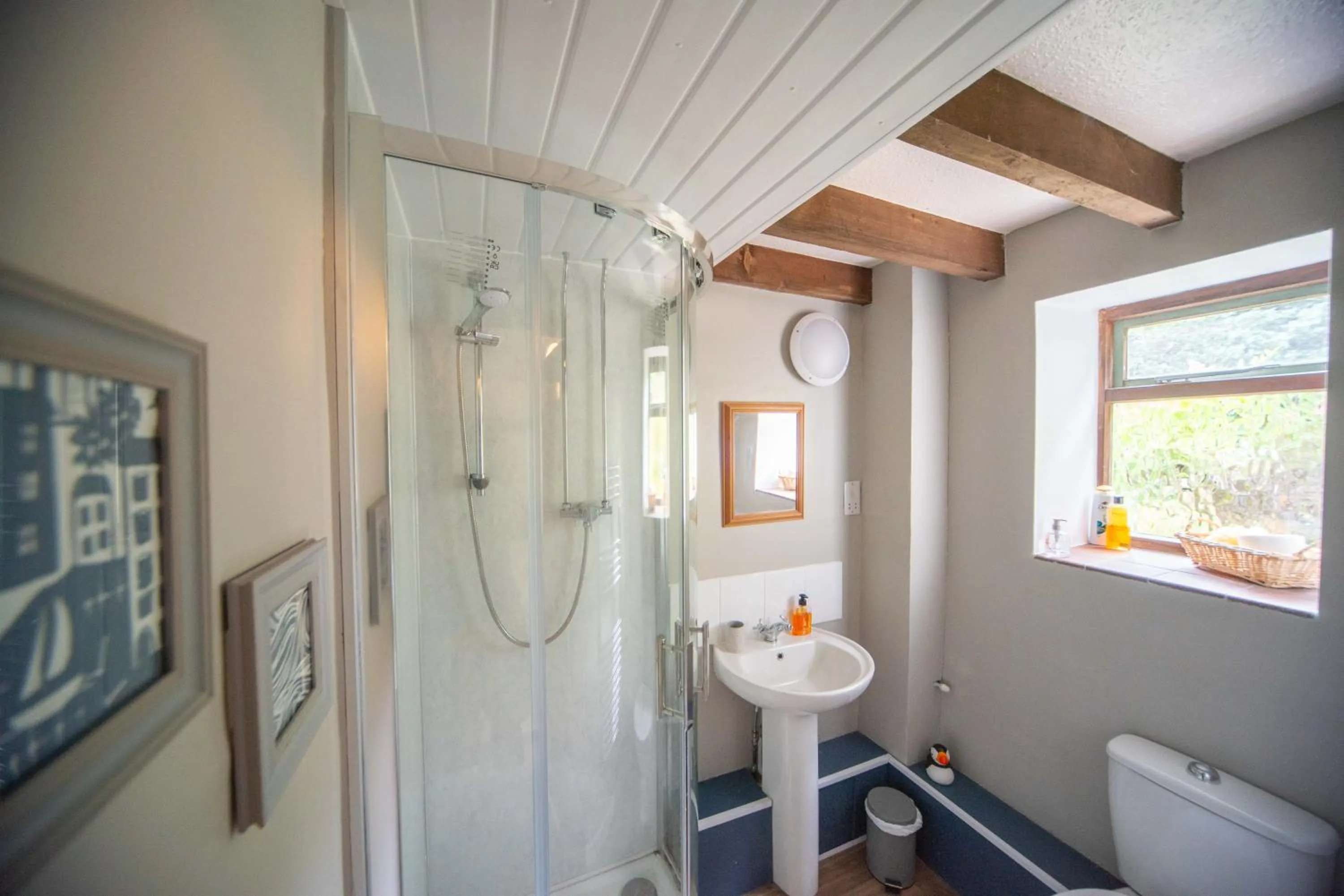 Shower in Lower House B&B and Cottages, Adforton