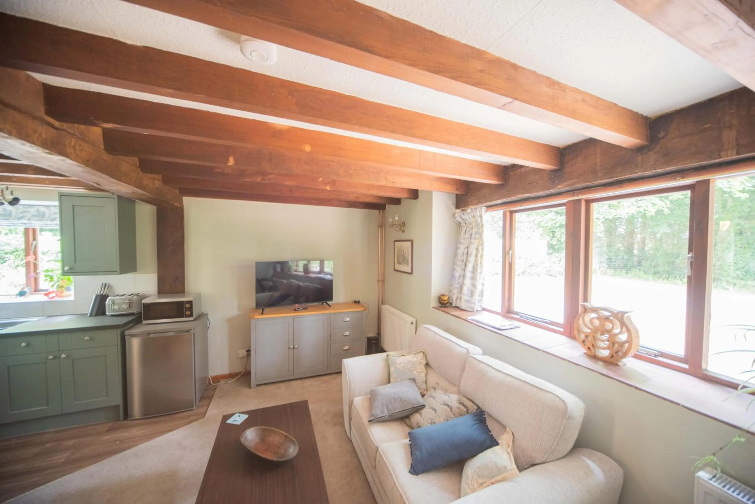 TV and multimedia in Lower House B&B and Cottages, Adforton